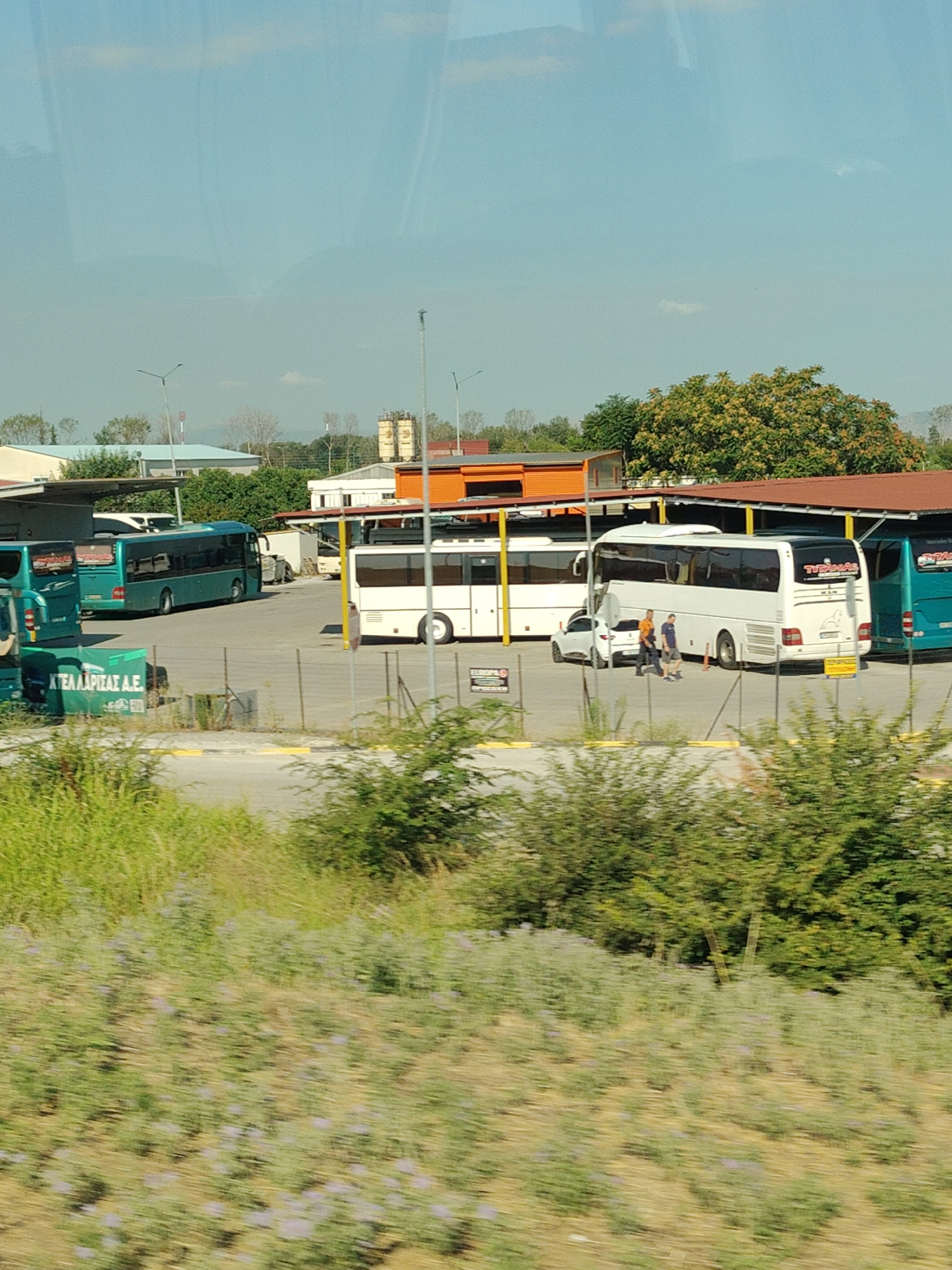 The image captures a bus depot in Larissa, Greece, under a bright, clear sky. Several large tour buses are parked in an open lot, some under covered shelters with red-tiled roofs. Two green buses are visible on the left, one with its rear facing the camera. A white bus with "TIRANAS" branding is positioned in the center, alongside a white car. Two men, dressed in casual attire, are standing near the white bus. The ground of the depot appears to be paved, with some yellow lines marking parking areas. In the foreground, lush green vegetation, including tall grass and flowering bushes, lines the edge of the scene, suggesting an outdoor, possibly semi-rural, setting on the outskirts of Larissa. Buildings with industrial-looking structures are visible in the background, interspersed with trees and utility poles. A green container with Greek text, "ΚΤΕΛ ΛΑΡΙΣΑΣ Α.Ε." which translates to "Larissa Bus Company S.A.", is placed near the green buses. The overall impression is that of an active transportation hub during daylight hours.