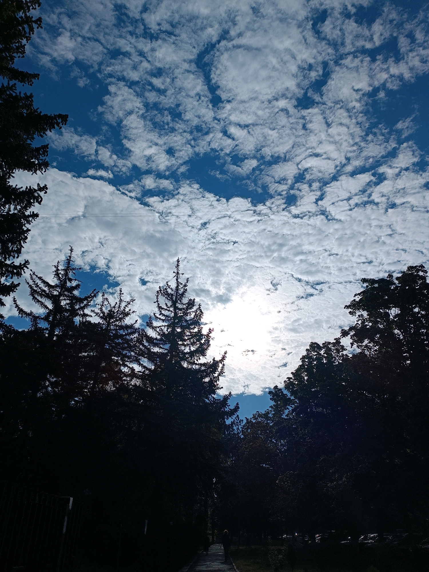 The image shows a view looking up towards the sky through silhouetted trees. The sky is a vibrant blue with scattered white clouds. The sun is partially obscured by the clouds, creating a bright, hazy area. Several evergreen trees and leafy deciduous trees are visible in the foreground, their dark silhouettes contrasting sharply with the bright sky. A narrow paved path is visible at the bottom, with a single person walking away from the camera. The environment appears to be a park or a tree-lined street.