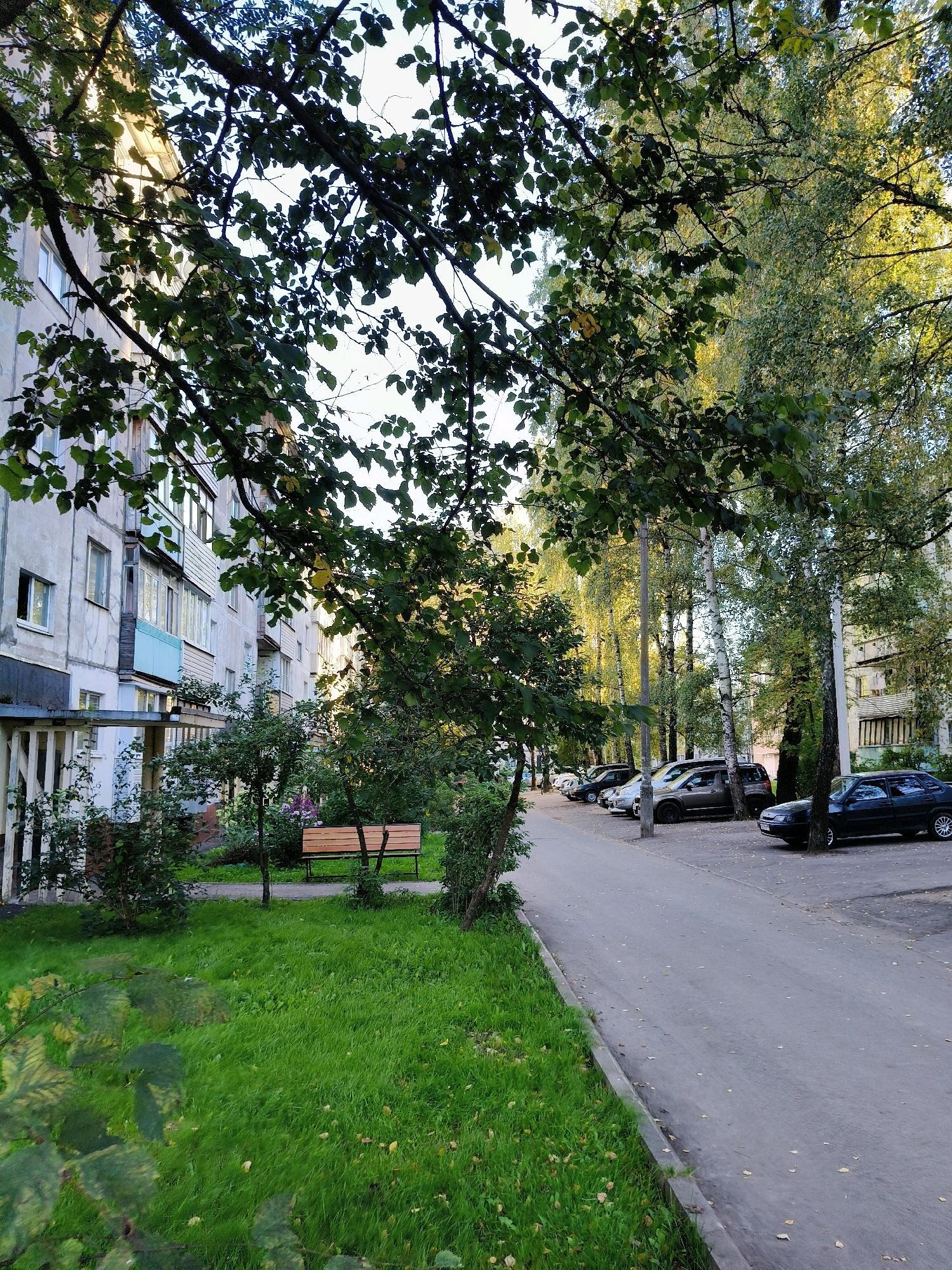 In this ground-level, full shot of a residential area, a paved road runs diagonally from the lower right to the upper left corner. The road is lined with parked cars, including a dark sedan on the right and a row of vehicles further down the street. To the left of the road is a patch of bright green grass with scattered yellow leaves. Beyond the grass, a light-colored apartment building with multiple windows and balconies stands tall. A wooden bench is visible in a small grassy area in front of the building, surrounded by trees and shrubs. The scene is illuminated by natural light, casting shadows and highlighting the textures of the leaves and pavement. The overall impression is of a quiet, urban residential setting on a clear day.