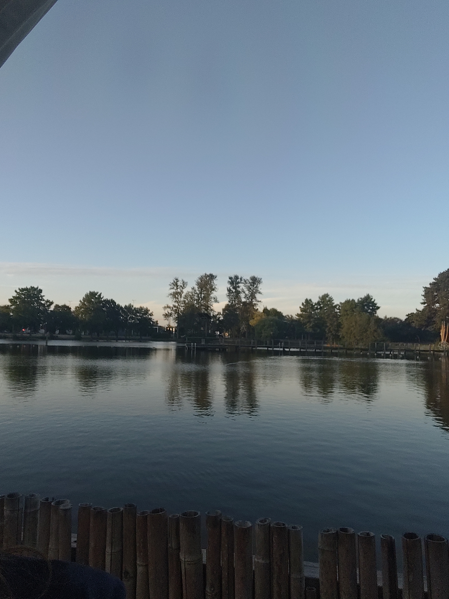 A tranquil body of water reflects a line of trees and a clear sky. The water is calm with gentle ripples, and the trees on the opposite bank form a dark silhouette against the horizon. In the foreground, a rustic fence made of bamboo poles adds a natural texture to the scene. The sky is a soft blue, fading to a lighter hue near the horizon, suggesting either early morning or late evening light. The overall impression is one of peacefulness and natural beauty. This scene is likely located at Genneperparken, a large park in Eindhoven, Netherlands, known for its extensive green spaces and water features.