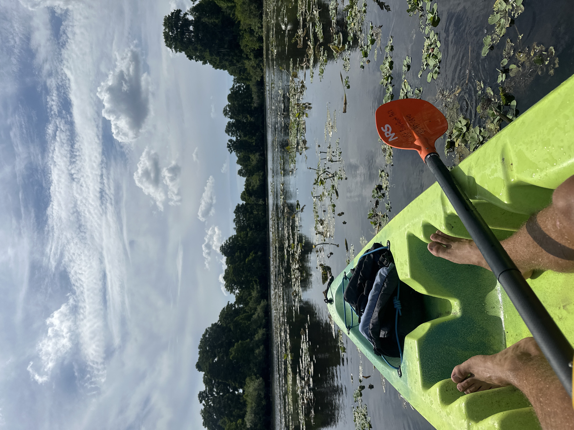 This first-person perspective photograph captures a serene moment kayaking on a calm body of water. The bright lime green kayak dominates the foreground, with the bare feet of the kayaker resting comfortably in the footwell, suggesting a relaxed atmosphere. An orange paddle, featuring the "NRS" brand logo, is held or positioned on the right side, with additional, smaller text that appears to include "Our Built Right" and the phone number "877-NRS-RAFT." A black and blue backpack or dry bag is stowed in the kayak's front compartment.
The water surface is still and reflective, partially covered with numerous green aquatic plants, possibly lily pads or water hyacinths, which create interesting textures and patterns. A distant shoreline lined with dense green trees is visible across the water, their dark foliage contrasting with the brighter sky. The sky is largely blue with scattered white clouds, including both fluffy cumulus and wispy cirrus formations, indicating a sunny and pleasant day. The overall scene suggests a peaceful outdoor activity in a natural setting, likely a lake or slow-moving river in Temple Terrace, United States of America.