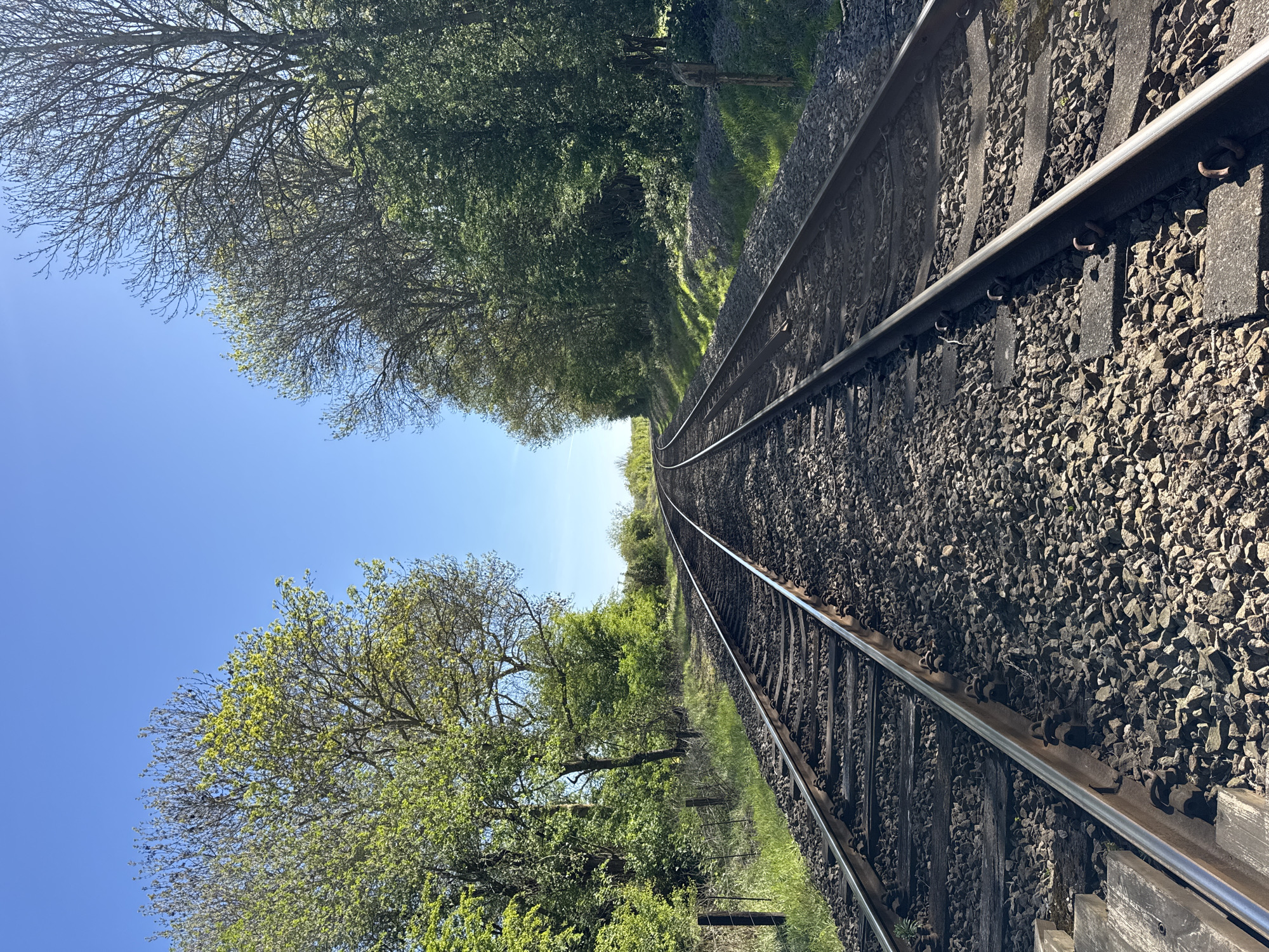This rotated image, captured in Easton on the Hill, United Kingdom, presents a view of a railway track winding through a natural, green landscape under a bright, clear blue sky. The railway tracks, composed of two parallel steel rails fixed onto sleepers and embedded in dark grey gravel ballast, extend diagonally from the bottom right to the upper left of the frame, subtly curving towards the left as they recede into the distance.
The left side of the image is filled with an expanse of cloudless, brilliant blue sky. On both sides of the tracks, the scene is bordered by abundant trees and lush green foliage. The trees along the upper edge of the tracks show denser, more mature leaves, while those along the lower edge display a mix of bare branches and new, lighter green leaves, characteristic of spring. Green grass and undergrowth are visible on the embankments adjacent to the railway.
The scene is illuminated by strong natural sunlight, which casts sharp shadows from the rails and sleepers onto the ballast, indicating a clear and sunny day. There are no people, vehicles, or specific activities taking place on the tracks or in the immediate surroundings. No discernible text is present within the image. The overall impression conveyed is one of a tranquil rural setting where natural beauty intertwines with human infrastructure.