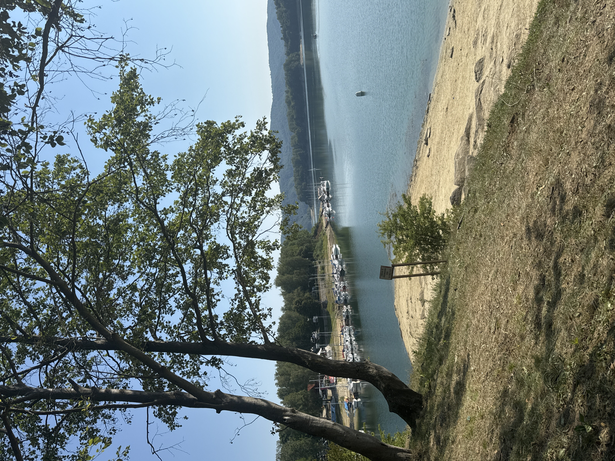 The image depicts a scenic view of the Solina Lake near Polańczyk, Poland. In the foreground, two prominent trees with green foliage cast shadows on a grassy slope. A sandy beach runs along the edge of the lake, with some scattered rocks and vegetation. The lake itself is calm and blue, with several sailboats docked in the distance. Beyond the lake, rolling hills covered in dense green forests form the backdrop. The sky is clear and blue, indicating a sunny day. A white buoy is visible in the water. A signpost stands on the sandy area.