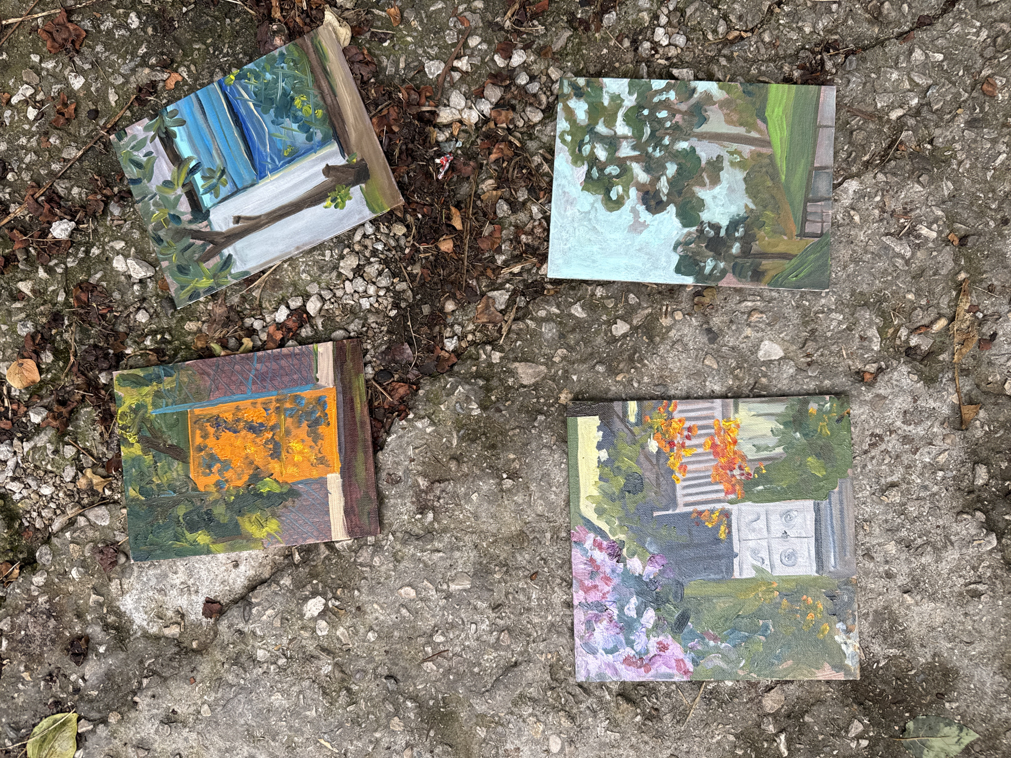 Four small, square paintings are laid out on a concrete surface littered with dried leaves and small stones. The paintings appear to be oil on canvas.
The top left painting depicts a view through a window or doorway, with blue curtains on the left and a brown tree branch extending from the right. Green foliage is visible outside, with dappled sunlight suggesting a daytime scene.
The top right painting shows a cluster of green leaves and branches against a pale blue sky, with a hint of a green structure or fence on the right. The brushstrokes are loose and impressionistic.
The bottom left painting features a vibrant orange rectangular shape, possibly a window or a door, surrounded by dark green and yellow foliage. The background is also rendered in darker tones.
The bottom right painting shows a white building with horizontal siding and some circular details, likely windows or vents. In front of the building, there are bright orange and yellow flowers or foliage, and on the left, there are clusters of pink and purple flowers. The scene appears to be a garden or backyard.
The overall impression is of a series of outdoor scenes, possibly painted en plein air. The concrete surface and scattered leaves suggest an outdoor location, possibly a pathway or courtyard. The lighting in the paintings indicates daylight, with no specific time of day clearly discernible. No people or text are visible.