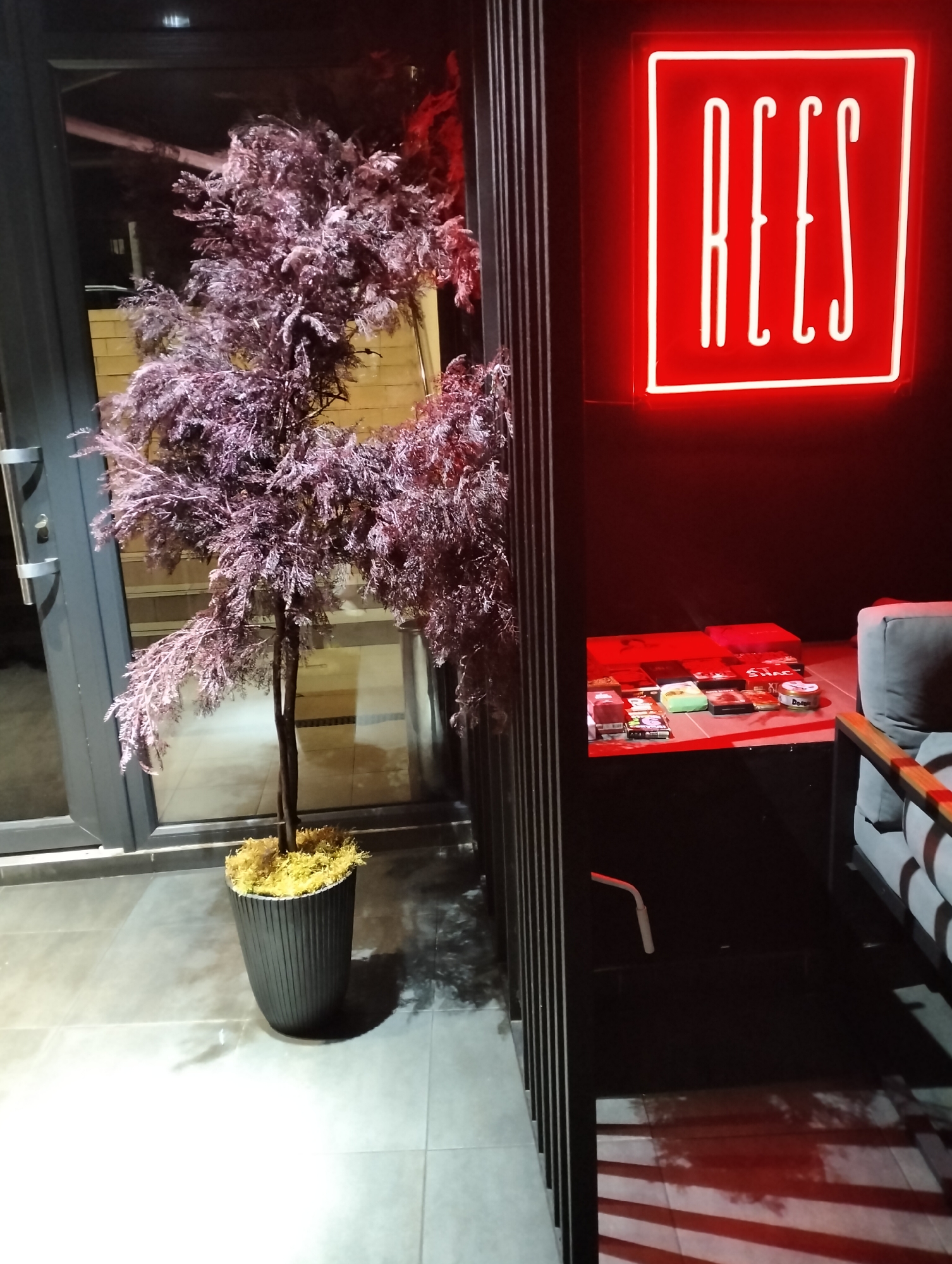 The image shows the entrance to a business called "REES", located in Ivano-Frankivsk, Ukraine. A neon red sign displays the name "REES" in a stylized font. To the left of the entrance, a potted tree with purple foliage sits on a gray tile floor. Inside, a table displays various objects, including boxes and tins. A gray sofa is partially visible on the right. The overall lighting is dim, with the red neon sign providing a strong contrast. A glass door reflects the outside surroundings. The location is identified as Ivano-Frankivsk, Ukraine, based on available context clues.