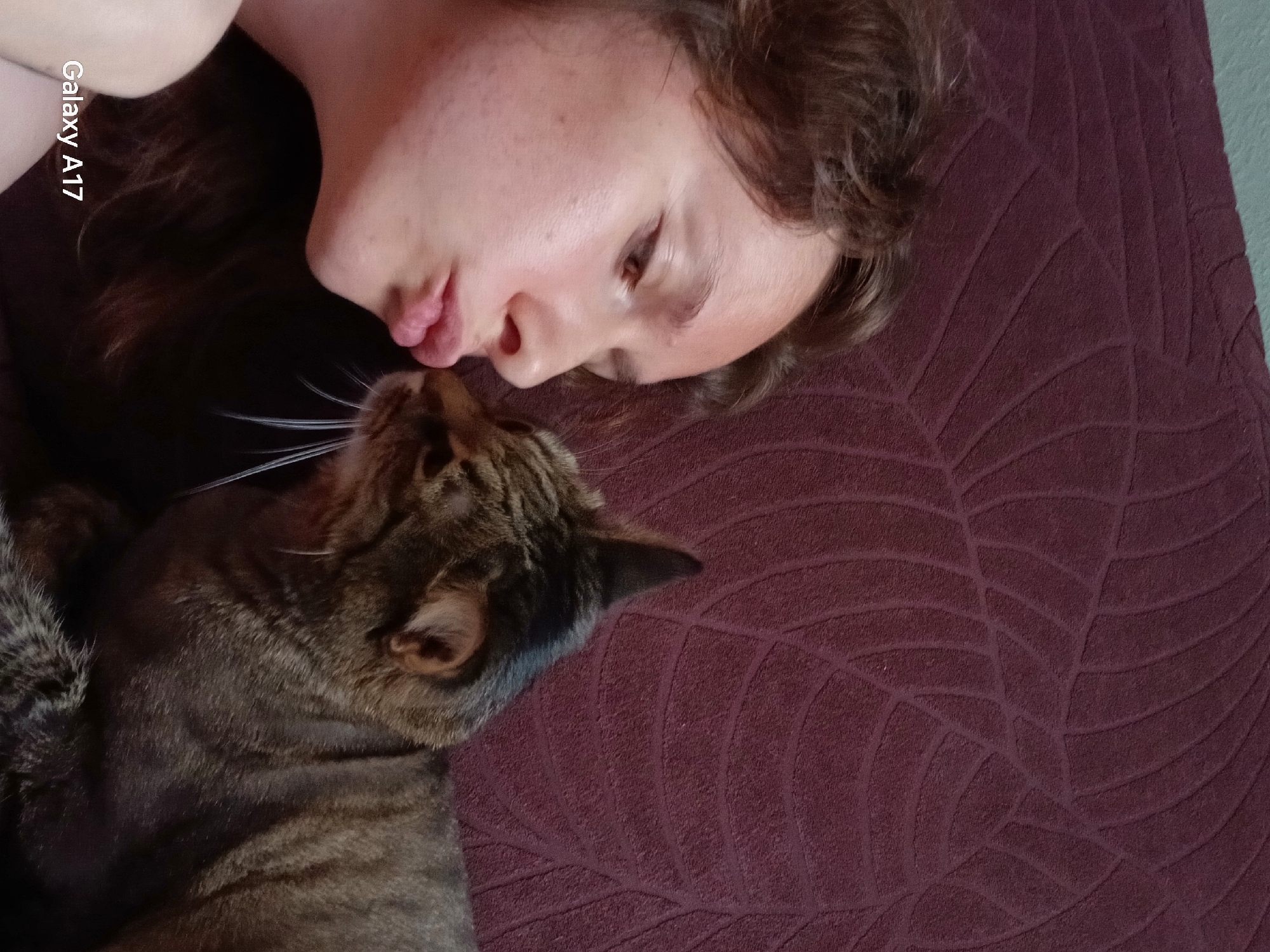 A woman is lying on a maroon, textured surface, possibly a bed or couch. She is on her side, with her face turned towards the viewer and her lips pursed as if attempting to kiss a tabby cat. The cat is positioned near her face, with its head facing towards her. The cat's fur is brown and gray. The environment appears to be indoors, likely in a home. The location in the city of Yekaterinburg, Russia is not visible in the image.