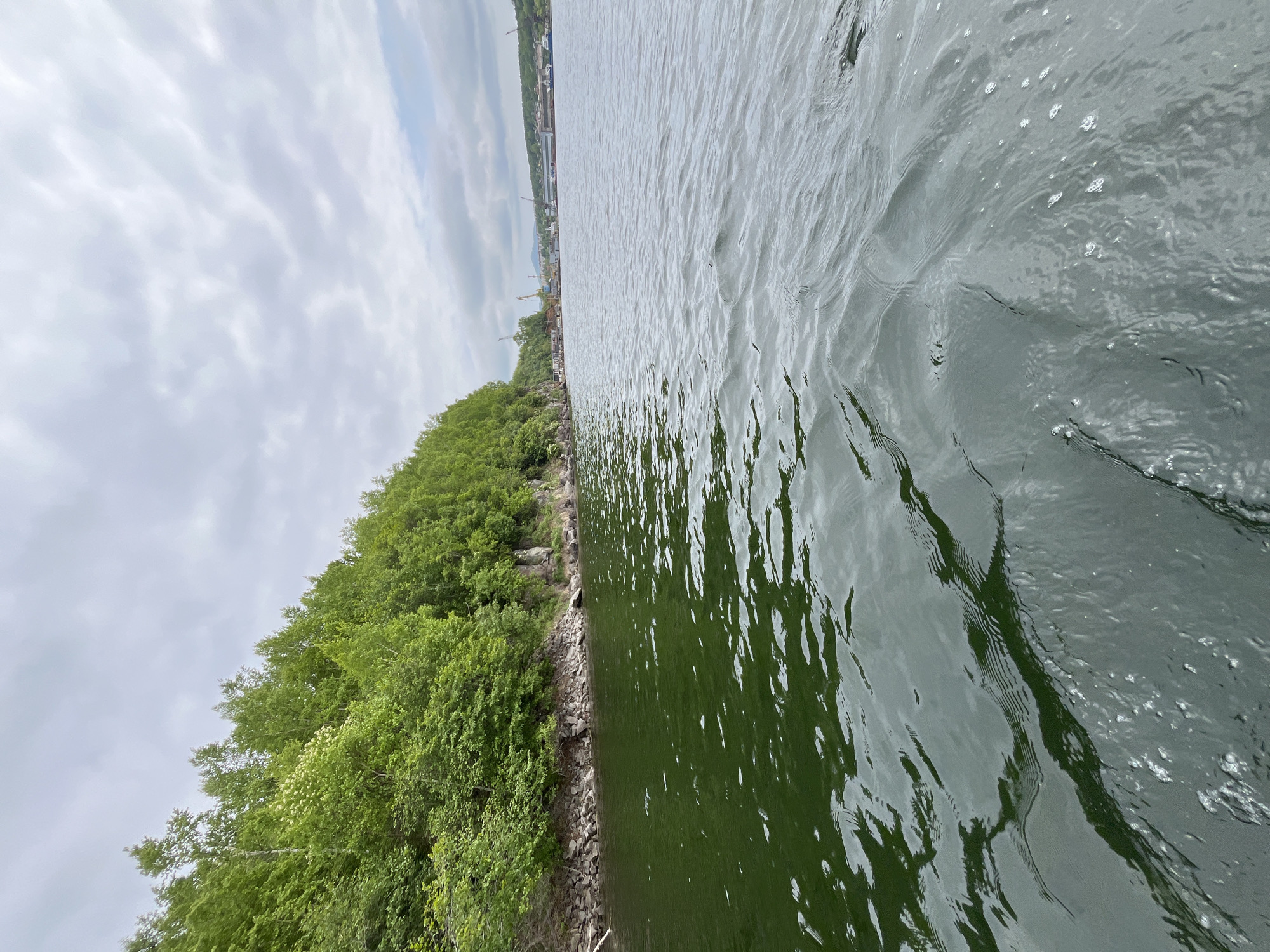 This is a medium shot, taken from a body of water, of the coastline and harbor of Sovetskaya Gavan', Russia. The foreground is dominated by dark green water with ripples. To the left, a rocky shoreline leads to a dense, green forest canopy. In the distance, across the harbor, a city skyline is visible with industrial cranes, buildings, and boats. The sky above is cloudy and overcast. There are no people or animals visible in the image. The scene appears to be calm and quiet.