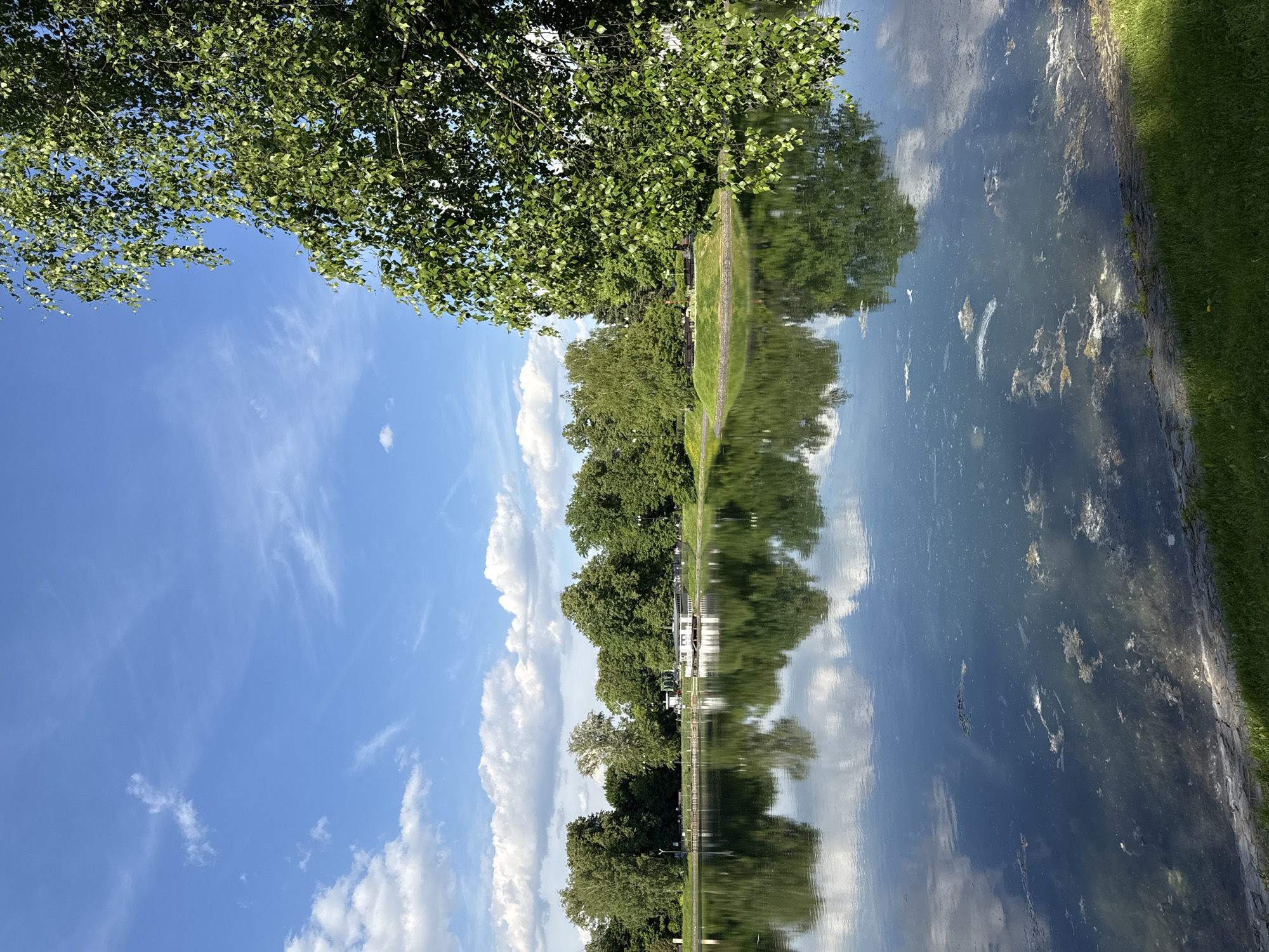 An outdoor landscape features a body of water, lush green trees, and a bright blue sky with white clouds, suggesting a serene natural setting, likely a park or waterfront area in Moscow, Russia. The image is originally presented rotated 90 degrees clockwise.
In the foreground and middle ground, a calm body of water stretches across the frame. Its surface clearly reflects the overhead sky and the trees lining its banks. Patches of what appear to be algae or debris are visible on the water's surface. A strip of green grass lines the near bank on the right side.
Along the far bank, a dense line of various deciduous trees with vibrant green foliage creates a natural barrier. Partially visible amidst these trees are several white-painted buildings, suggesting some infrastructure or recreational facilities along the water's edge.
Above the tree line, the sky is a clear, brilliant blue, adorned with scattered white, fluffy cumulus clouds and some wispy cirrus clouds.
The scene depicts a bright, sunny daytime, indicating pleasant weather conditions. No specific human activity is evident. The overall impression is one of tranquility and natural beauty. There is no visible text in the image.