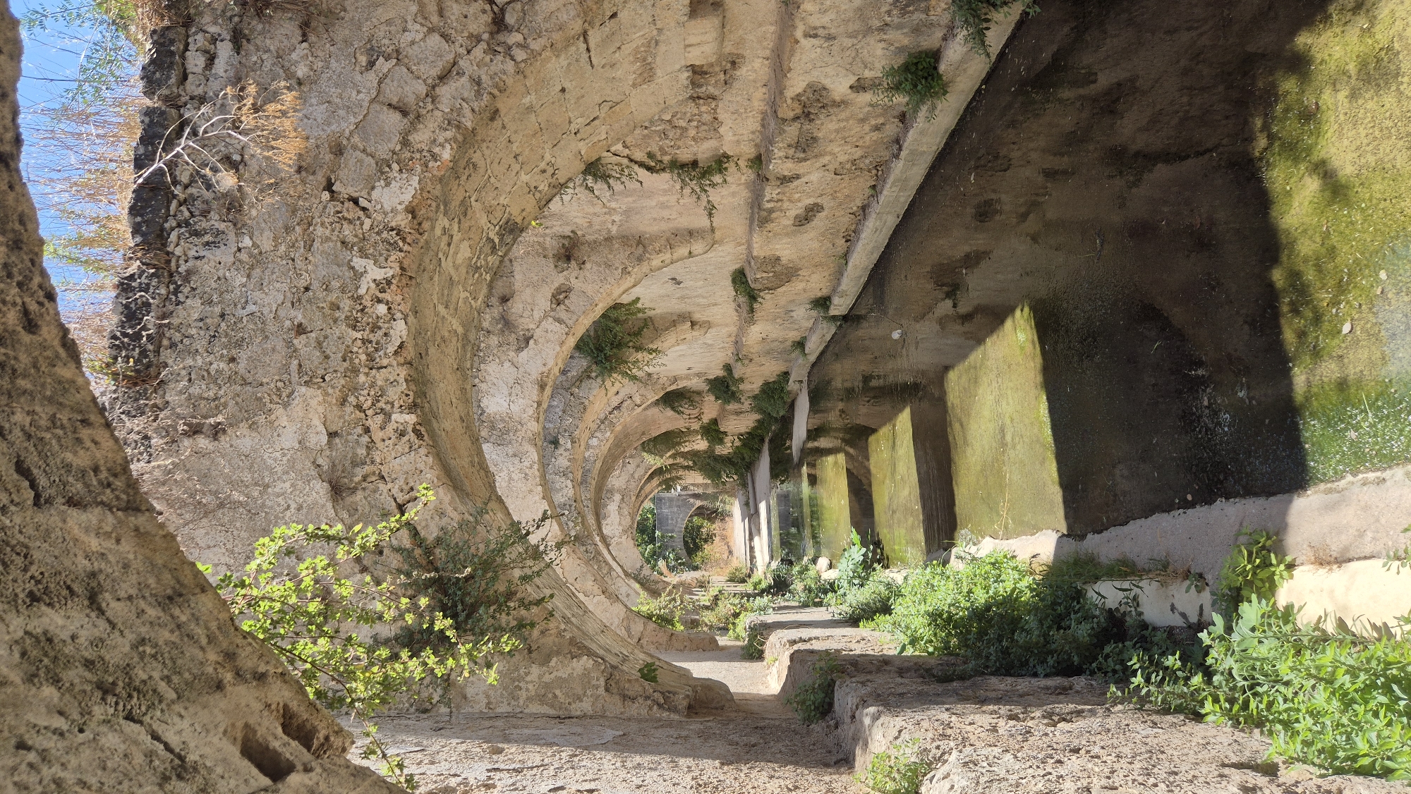 This image depicts the historic aqueduct in Laterza, Italy, a notable architectural feature of the town. The aqueduct consists of a series of stone arches supporting a channel through which water flows. Lush green vegetation, including vines and smaller plants, grows along the sides of the channel and on the stonework, indicating a natural and perhaps slightly overgrown state. The water in the channel appears somewhat murky with areas of green algae visible. Sunlight filters through the arches, casting dappled shadows on the water and stonework, creating a contrast between light and dark areas. The scene evokes a sense of history and nature interacting within an ancient structure. There are no people visible in the image.
