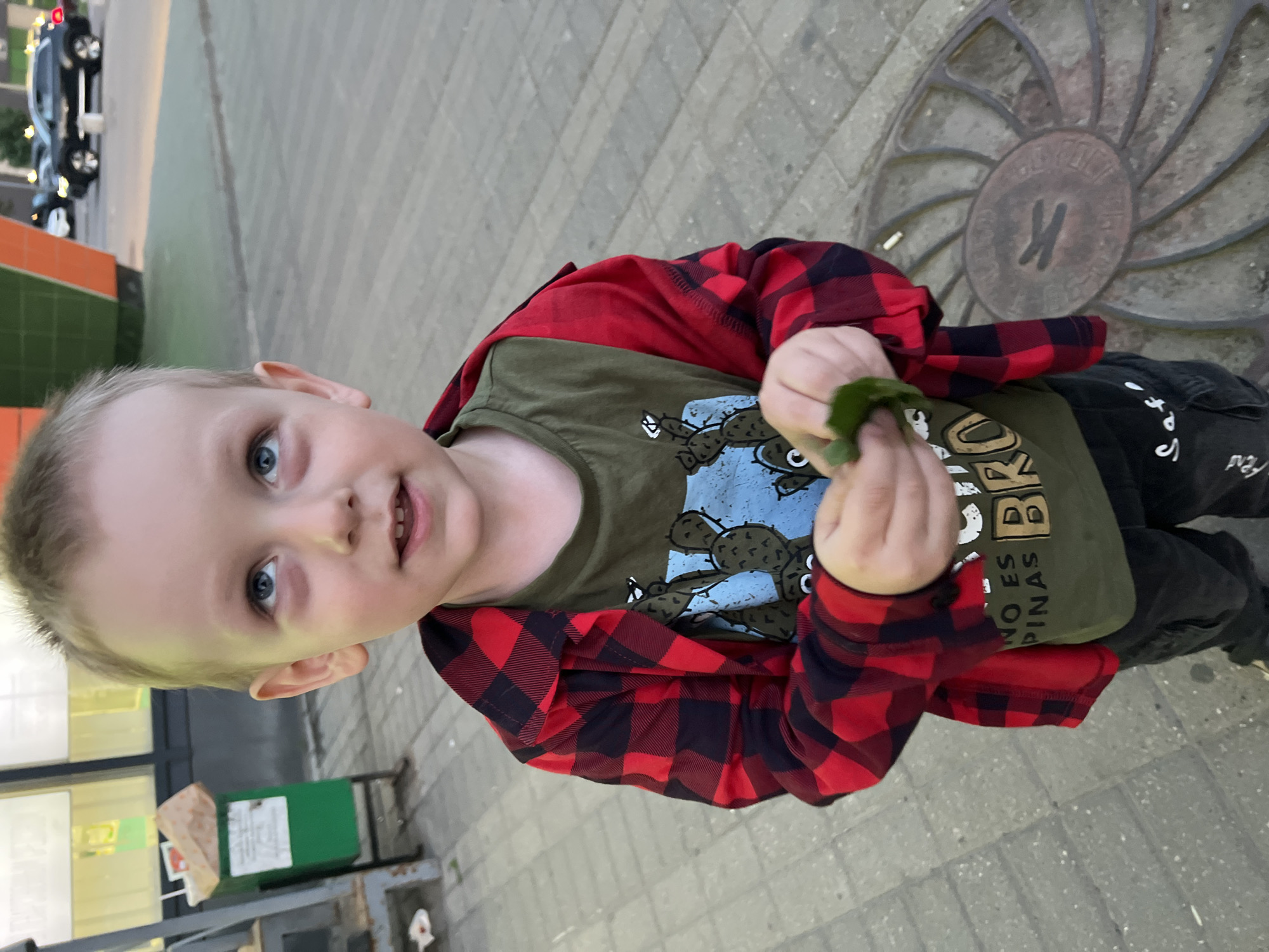 A young, fair-skinned child with blond hair and blue eyes is standing outdoors. The child is wearing a green t-shirt with an image of cacti and the words "NO ES BRO" and a red and black plaid flannel shirt. The child is holding a green leaf in his hands.
The child is standing on a paved surface. Behind him is a circular metal manhole cover with a "K" in the center. In the background, there is a building with a green and orange facade, a black car, a trash bin and other urban elements.
The location is likely in Mytishchi, Russia, based on the reference to the city.