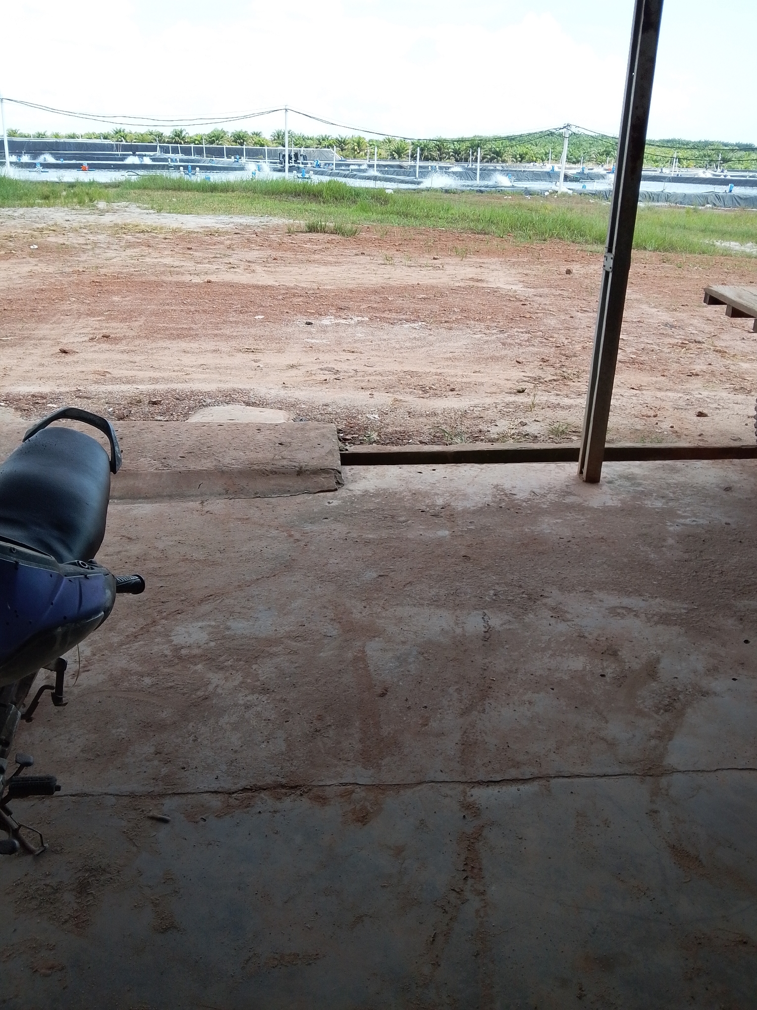 The image depicts an outdoor scene, likely a semi-covered area in Bukit Ketok, Indonesia. A portion of a blue motorbike is visible on the left side of the frame. In the background, there are a series of what appear to be aquaculture ponds or large tanks with aerators running, suggesting a fish or shrimp farm. The foreground consists of a dirt or concrete surface, transitioning into a more rough, reddish-brown dirt area in the middle ground. Metal support beams partially frame the scene on the right. The sky is visible above the ponds.