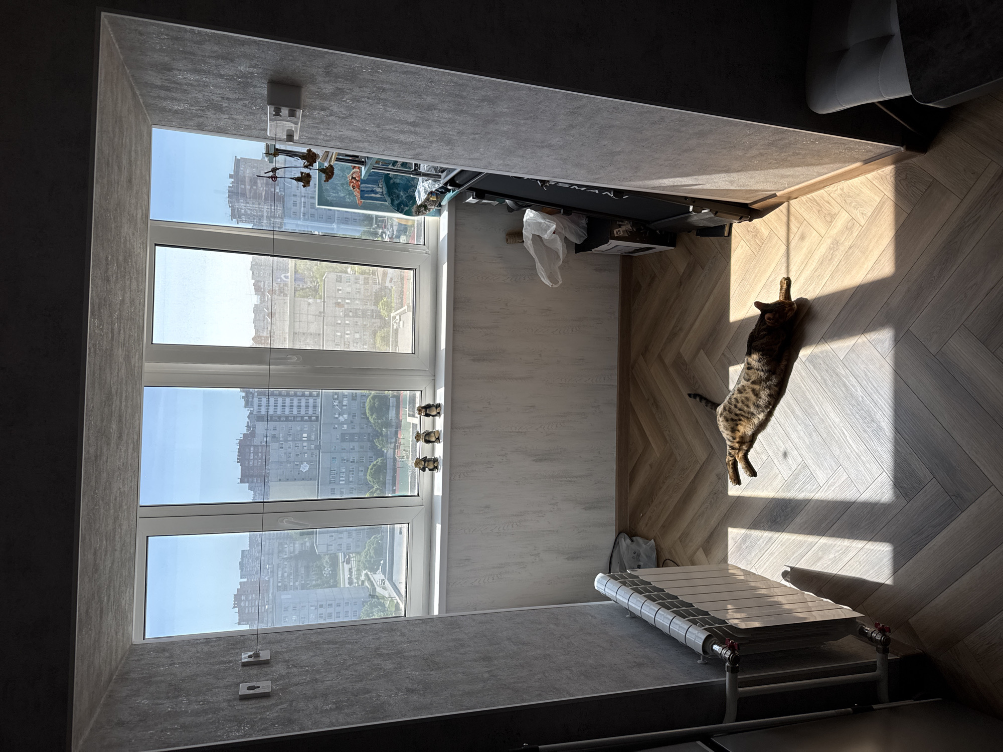 The image depicts an interior scene with a large window offering a view of a city. The window is divided into multiple panes, and the view outside reveals a dense urban landscape with numerous buildings of varying heights, indicating a populous city. The sky is bright, suggesting a sunny day.
Inside the room, the floor is covered with light-colored wood flooring arranged in a herringbone pattern. A cat is stretched out on the floor, basking in the sunlight. The room's décor is minimalistic, with a radiator visible near the window. A treadmill is situated near the window as well. The walls are painted in shades of gray, complementing the neutral color palette of the room. The overall impression is that of a modern, urban dwelling with a focus on natural light and a comfortable living space. The location is Unknown, Unknown.