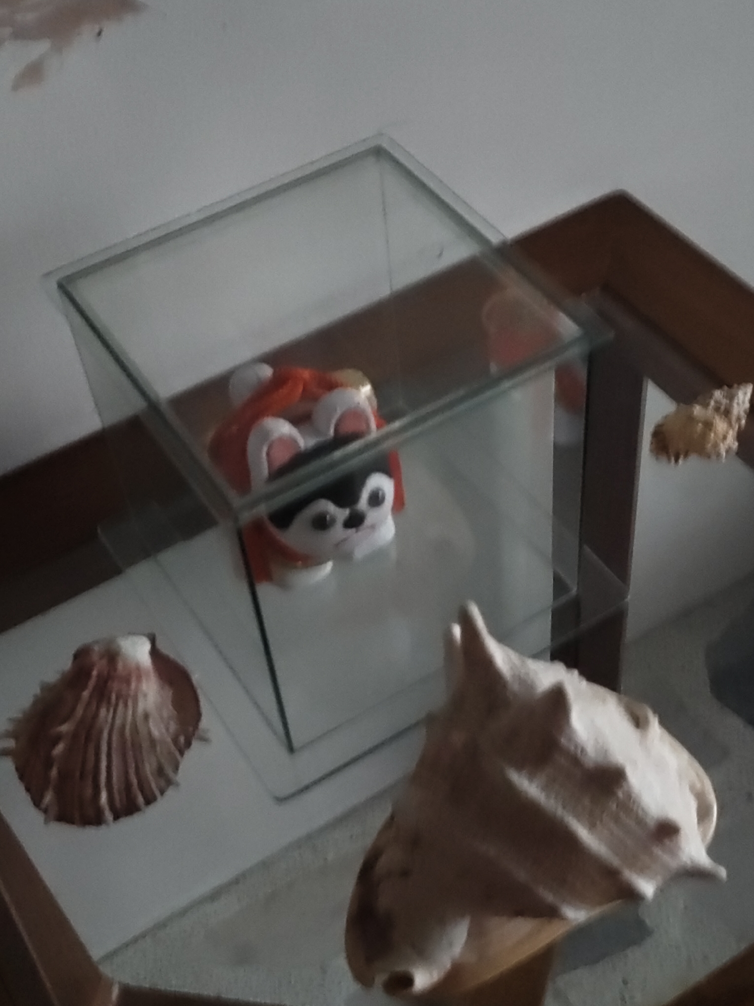 A glass display case sits on a shelf with a small, stuffed husky doll inside. The doll is wearing a red and white outfit. In front of the display case, on the same shelf, are two seashells: one is a fan-shaped shell, and the other is a large, ornate conch shell. To the right of the display case, another small, rough-textured shell is visible on the shelf. The background appears to be a wall and a wooden shelf. The scene is indoors and appears to be a home or a small shop in Davao City, Philippines.