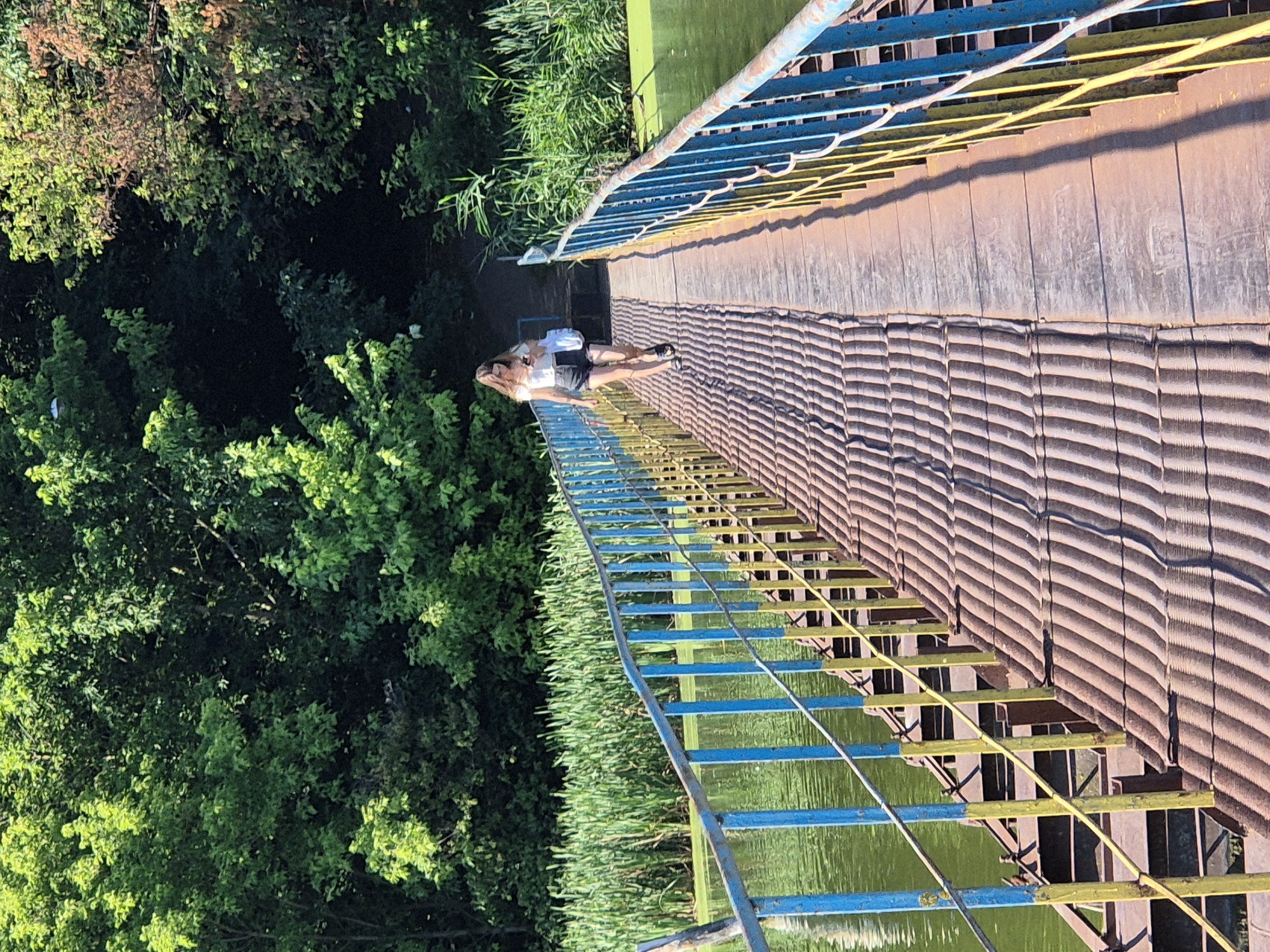 In Sozonivka, Ukraine, a young woman with long brown hair walks across a rustic metal bridge over a calm body of green water. She wears a white crop top and black shorts, carrying a white bag and a phone. The bridge has a corrugated metal walkway and is bordered by blue and yellow railings. Tall green reeds line the water's edge on the right, and dense green trees form a backdrop on both sides of the bridge. The scene is bathed in bright daylight, casting shadows on the bridge.