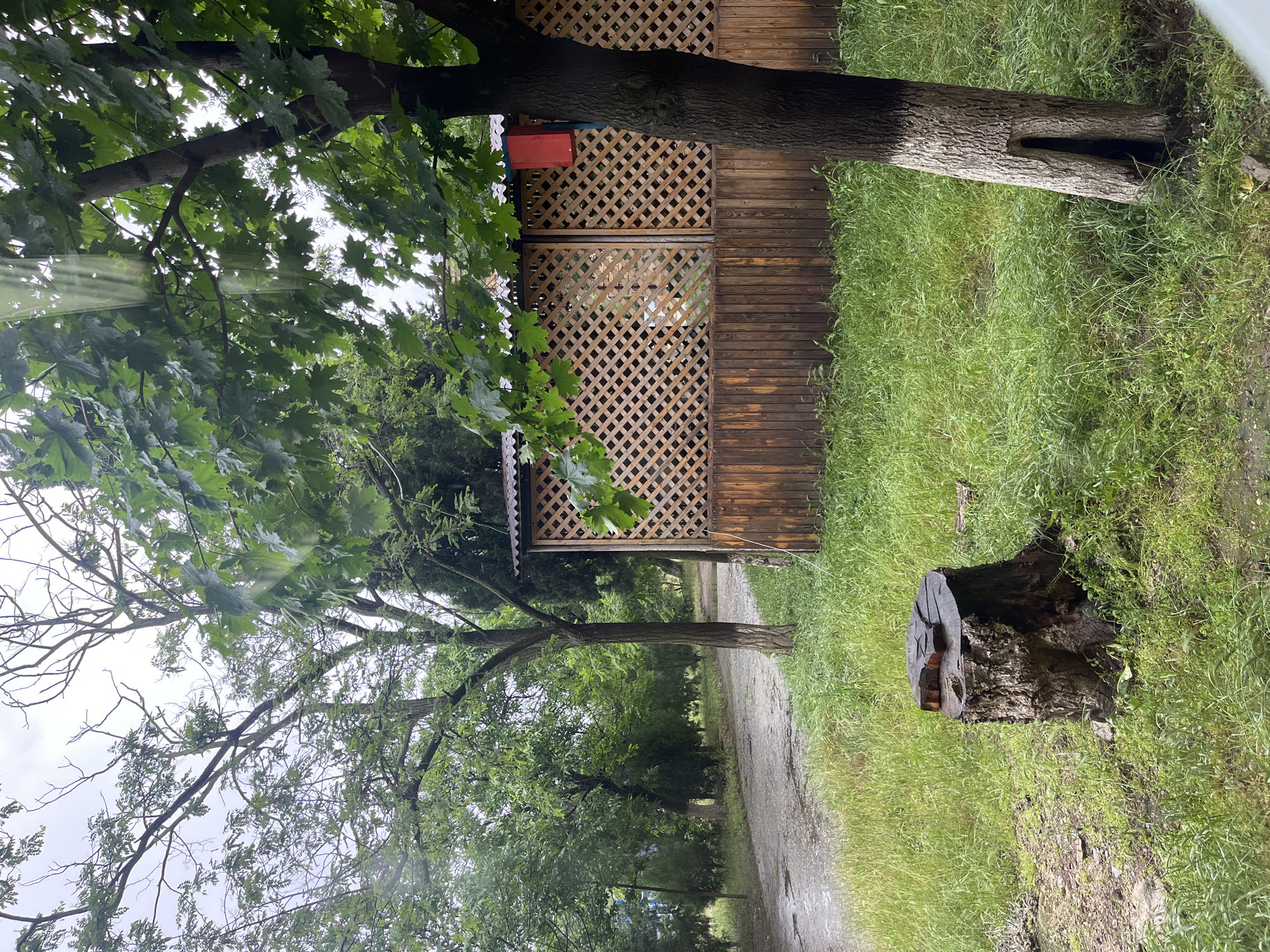The image shows an outdoor scene in what appears to be a park or wooded area near Kaspiysk, Russia. The environment is lush with greenery, suggesting recent rain or high humidity.
In the foreground, there is a wooden gazebo-like structure with lattice detailing on its walls. A tree trunk runs directly through the edge of the structure. Adjacent to the gazebo is a tree stump.
A dirt path stretches away from the viewer, lined with trees on both sides. The path appears to lead further into the wooded area. The lighting is overcast and diffused, indicating a cloudy day.