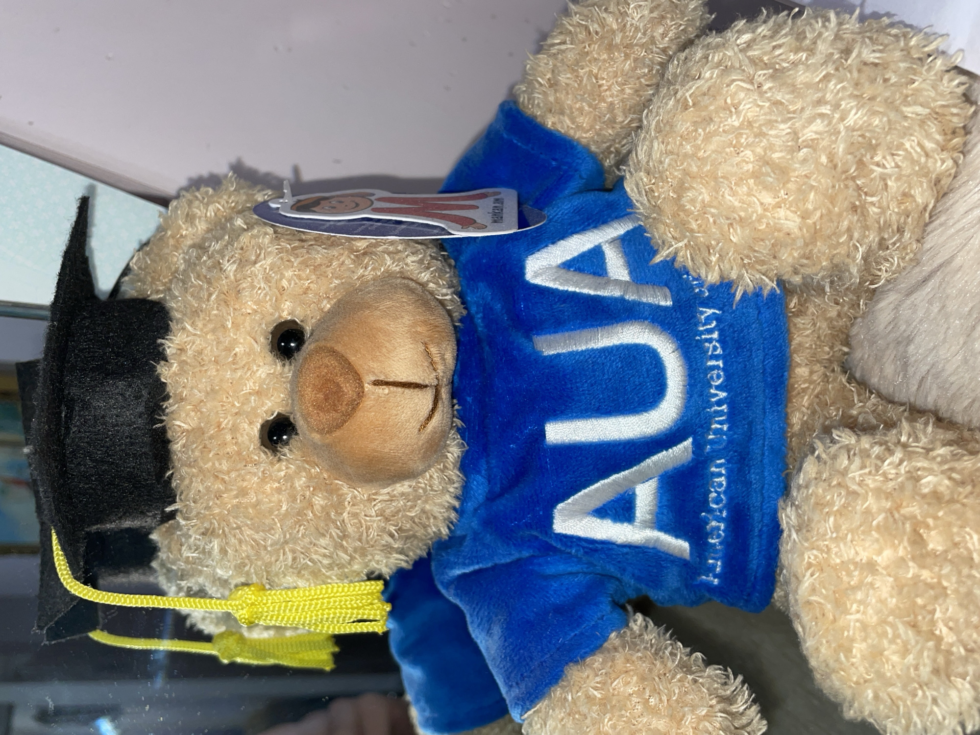 A tan-colored teddy bear is lying on its side, wearing a black graduation cap with a yellow tassel and a blue shirt with "AUA" (American University of Armenia) embroidered in white letters. The bear has a round, brown nose and black button eyes. A tag is attached to the bear's head. The location is likely near Aratashen, Armenia, based on the AUA insignia. The environment appears to be indoors, possibly a store shelf or display case.
