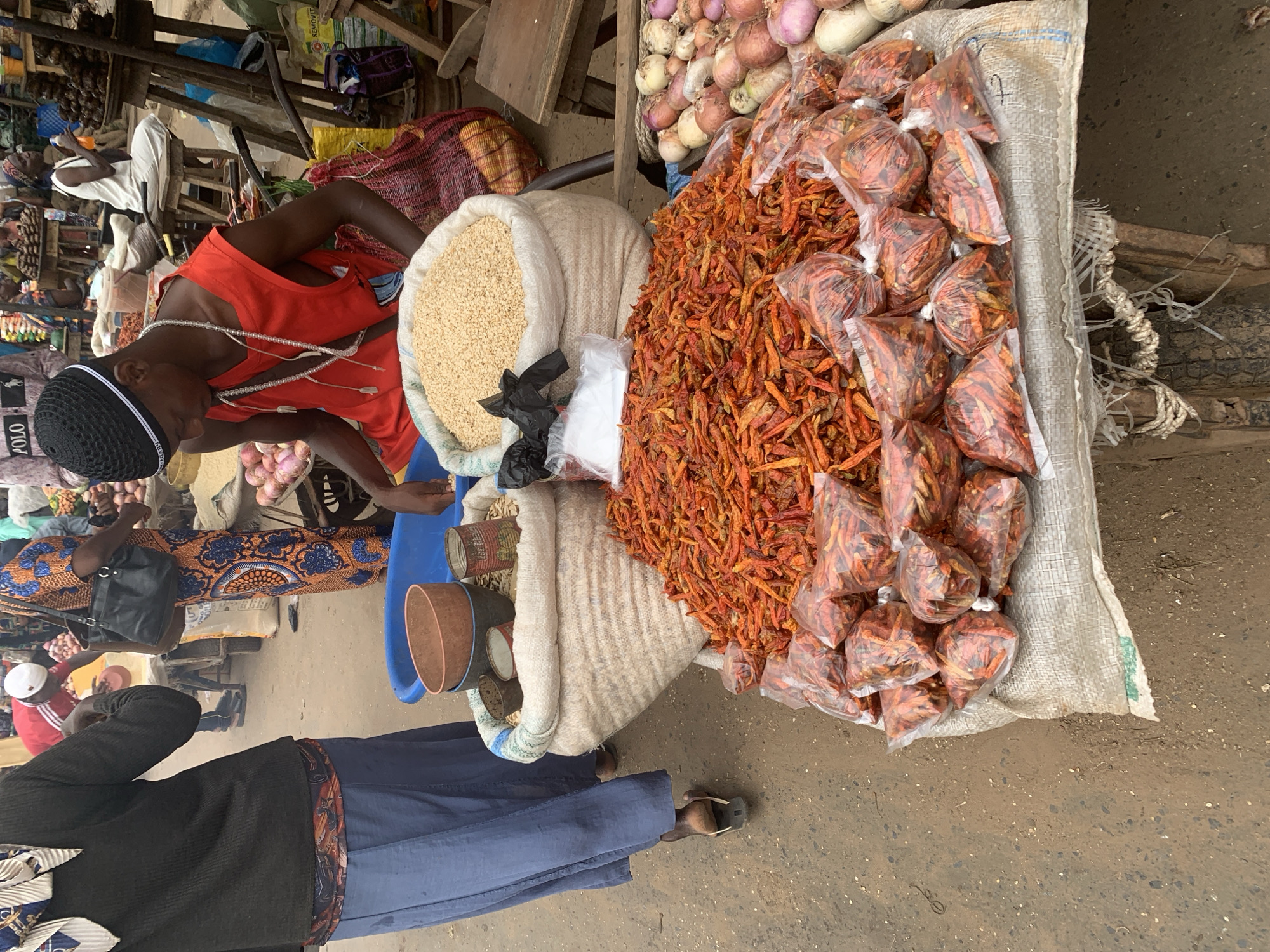 This image captures a vibrant scene at a market in Shagamu, Nigeria. A young man in a red sleeveless shirt and a black skullcap is the central figure, seated behind a large pile of dried red chilies. He wears a beaded necklace. In front of him are two large sacks, one filled with a light-colored grain and another partly obscured, possibly containing more produce. Various containers and bags of spices are visible, including more dried chilies in plastic packaging at the forefront. To the left, a person wearing a black sweater and a blue skirt walks away from the camera. The ground is dusty, typical of an outdoor market environment. In the background, other market-goers and stalls suggest a busy commercial area. The overall atmosphere is one of bustling commerce.