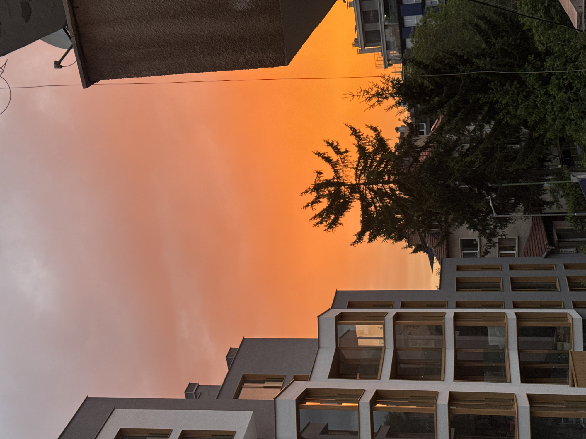 The image, taken in Sofia, Bulgaria, features an intense orange sunset illuminating the sky. The view is partially obscured by the silhouetted branches of a tree in the center and the architectural elements of several buildings. At the top left, a concrete building edge is visible. To the right of the tree, a building with multiple windows is present. At the bottom of the image, the facade of a modern building with gray and white elements and large, open windows dominates the lower portion. The overall scene captures the interplay of natural light and urban landscape.