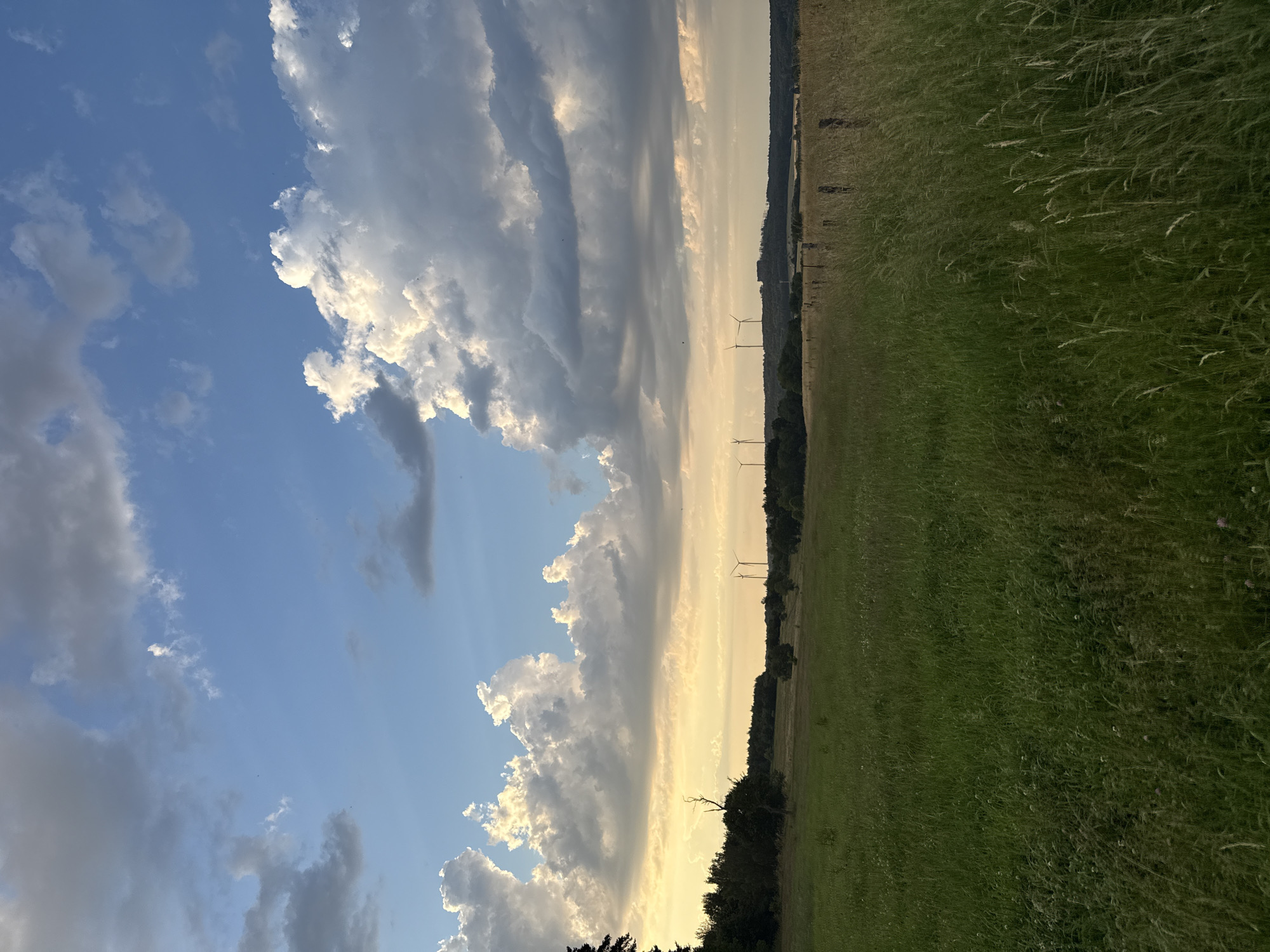 The image depicts an open, grassy field with tall grass in the foreground. In the mid-ground, a treeline borders the field, and beyond that, a gentle hill is visible. Several wind turbines are scattered across the landscape, silhouetted against the sky. The sky is partly cloudy with dramatic, illuminated clouds catching the late afternoon or early evening light. The scene appears to be a rural landscape, likely in the vicinity of Beltershain, Germany, given the presence of wind turbines, which are common in the region. There are no people or animals visible in the image. The overall impression is one of natural beauty and peacefulness.