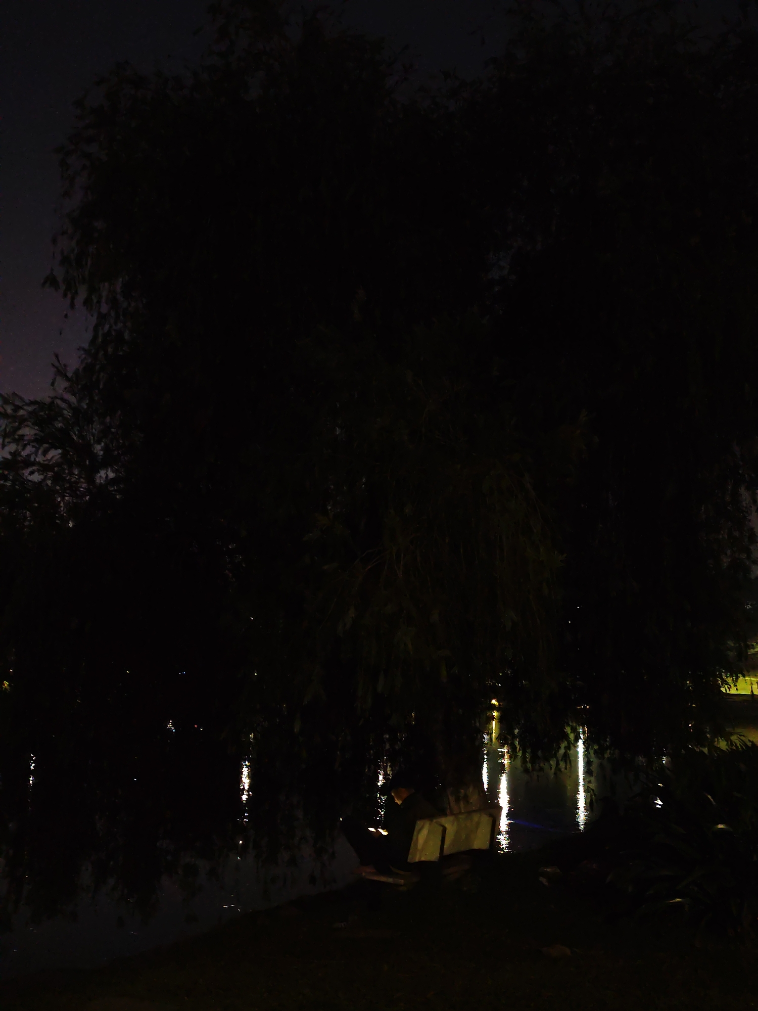 The image depicts a nighttime scene in Da Lat, Vietnam, near a body of water (likely a lake or pond). A large tree, possibly a willow, dominates the foreground, its branches obscuring much of the view. Reflections of lights are visible on the water's surface. The environment is dark with minimal artificial lighting. A park bench is partially visible in the lower center of the frame, seemingly unoccupied. Plants and other vegetation fill the lower right corner.