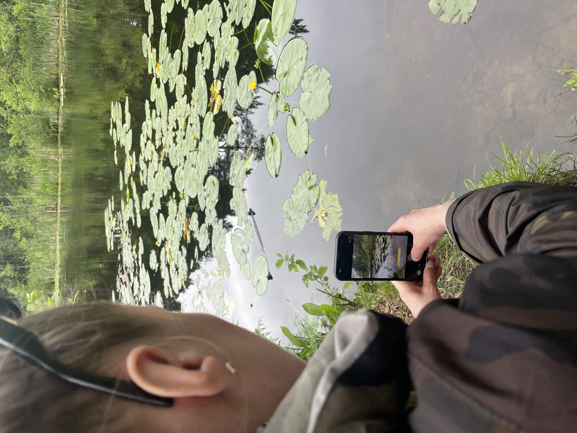 The image shows a person taking a photo of a pond filled with lily pads and small yellow flowers. The person is wearing a camouflage jacket and holding a smartphone in their hands. The pond is surrounded by trees and reeds, suggesting a natural, outdoor setting. The water is dark and reflects the sky and surrounding foliage. A close-up of the person's ear is visible in the foreground. The scene appears to be set in Sosnoviy Bor, Russia. The lighting suggests it could be daytime, possibly overcast. The overall mood is calm and serene, focusing on nature and the act of capturing it. No visible text is present in the image.