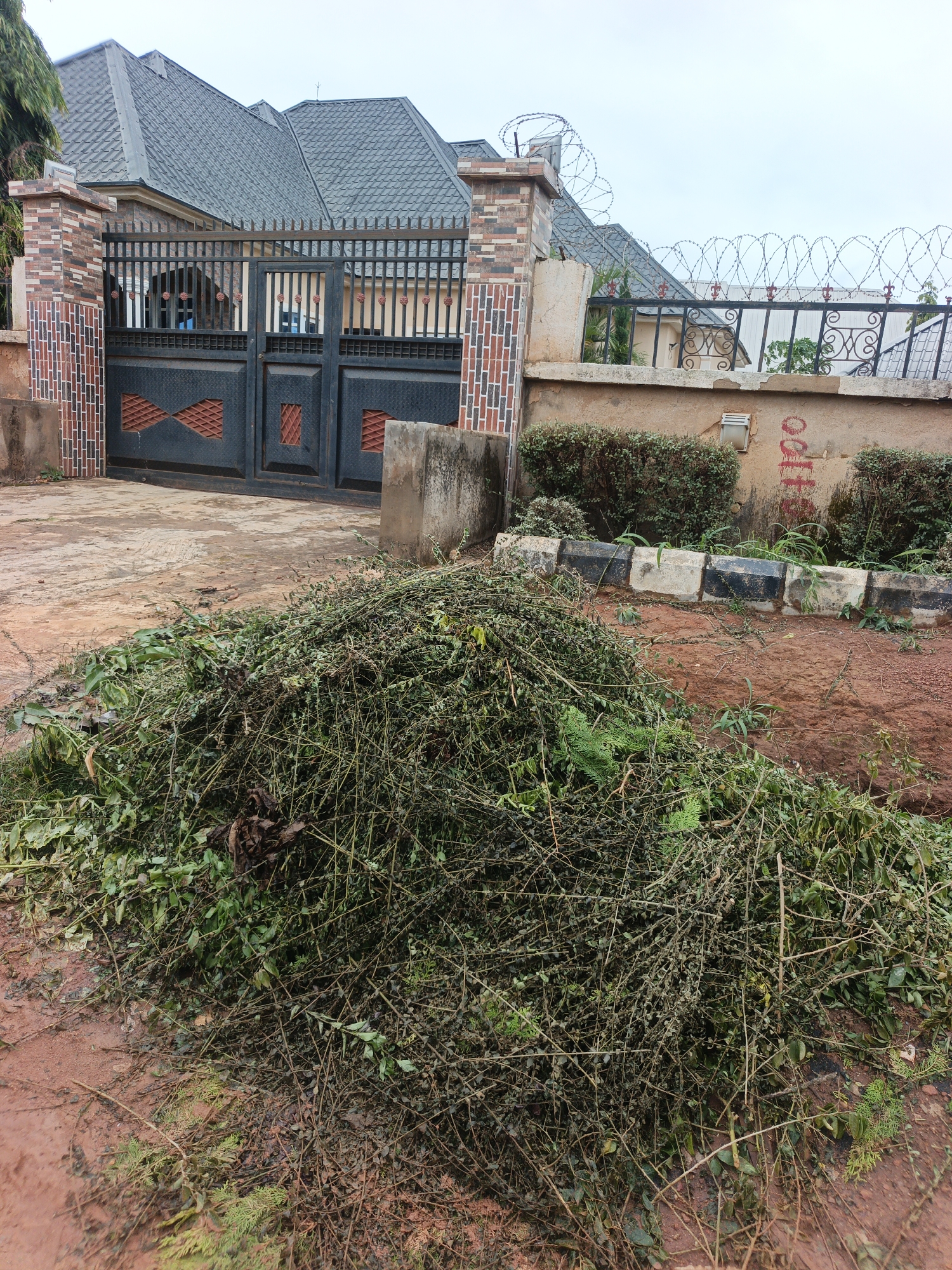 A pile of pruned branches and leaves lies on a reddish-brown dirt ground in front of a black metal gate and a house with a grey, multi-peaked roof. The gate is flanked by brick pillars. Barbed wire is visible atop a wall behind the gate, and there are two small, green bushes in front of the wall. Red graffiti, appearing to be numbers, is spray-painted on the wall. The ground is uneven and damp in places, suggesting recent rain. The scene appears to be an exterior residential setting in Rafin Bauna, Nigeria.