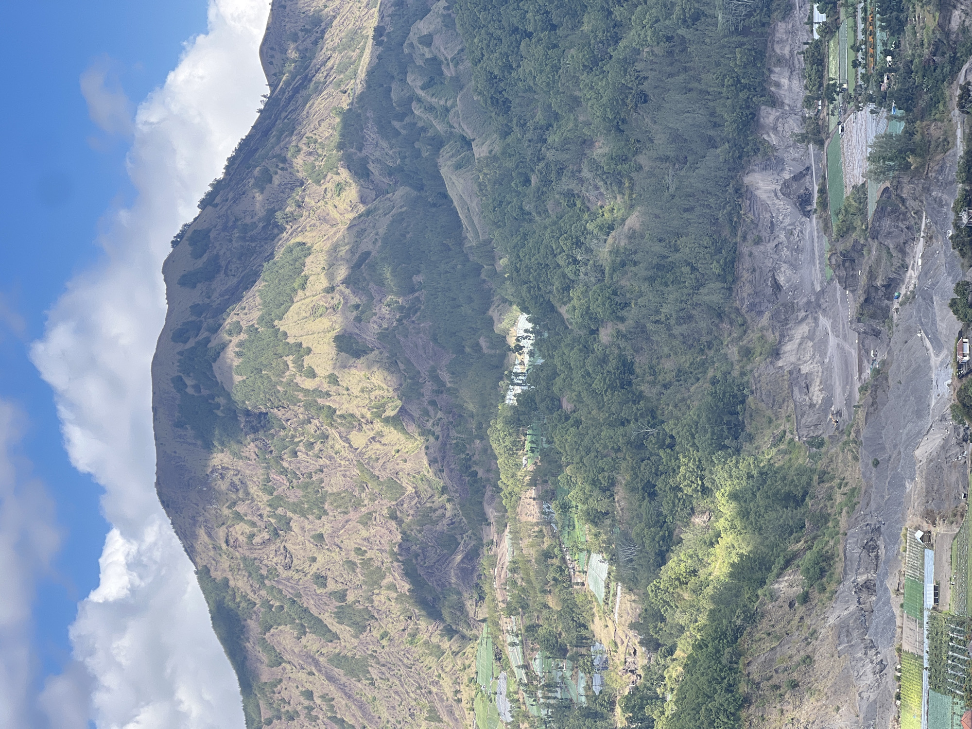 The image shows a mountainous landscape with a clear blue sky and white clouds overhead. The foreground features terraced fields of crops, some covered with white netting, and small buildings. Further up the slopes, dense green forests give way to sparser vegetation and rocky terrain. The mountains are rugged and layered, with visible striations and shadows indicating uneven surfaces. In the middle ground, a lighter blue area, possibly a body of water or a distinct patch of vegetation, is visible amongst the trees. The overall scene depicts a rural, agricultural area nestled within a mountainous region. Based on visual cues and common knowledge of Kintamani, Indonesia, this scene likely depicts the volcanic slopes and agricultural areas surrounding Mount Batur.