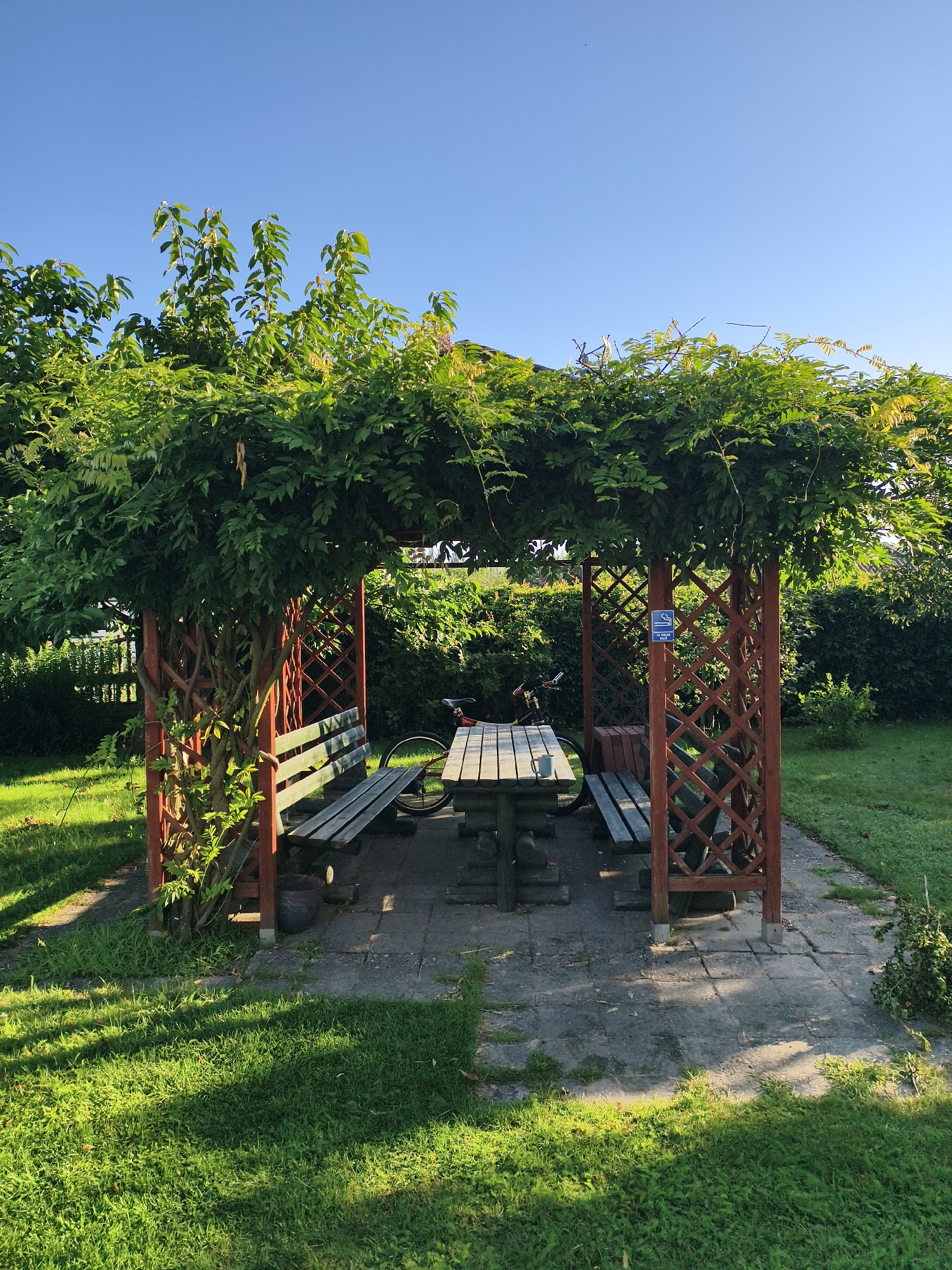 A wooden gazebo covered in green foliage is situated in a grassy yard. Inside the gazebo, a picnic table with two benches is present. A bicycle is parked behind the table. The gazebo has a lattice design on its sides. The area is illuminated by sunlight, creating shadows on the grass and pavement. The sky is clear and blue. The location is the city of Tczew, Poland.