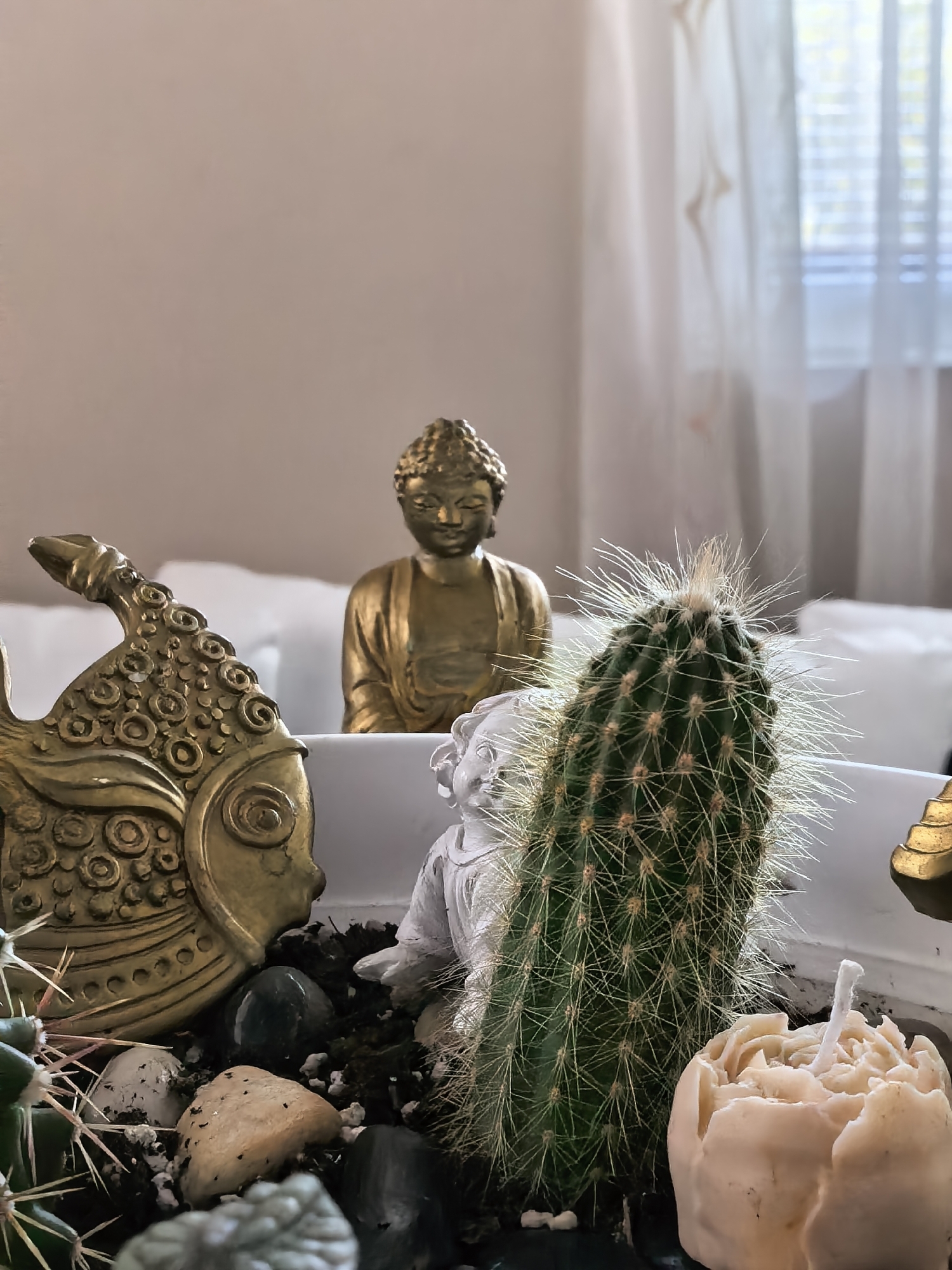 A still life arrangement is captured indoors, featuring a variety of objects and textures. A tall, cylindrical cactus covered in thin, white spines dominates the foreground, juxtaposed with a beige, rose-shaped candle to its right. A golden, decorative fish with ornate patterns is positioned on the left, partially obscured by the cactus. A small, white statue of an angel-like figure is nestled in the center, behind the cactus. A golden Buddha statue sits in the background, partially visible between the cactus and the fish. The arrangement is placed on a bed of dark soil mixed with small stones. A white ledge or container supports the arrangement. The background features a soft, neutral wall and a window covered by sheer, white curtains. The location is Unknown, Unknown.