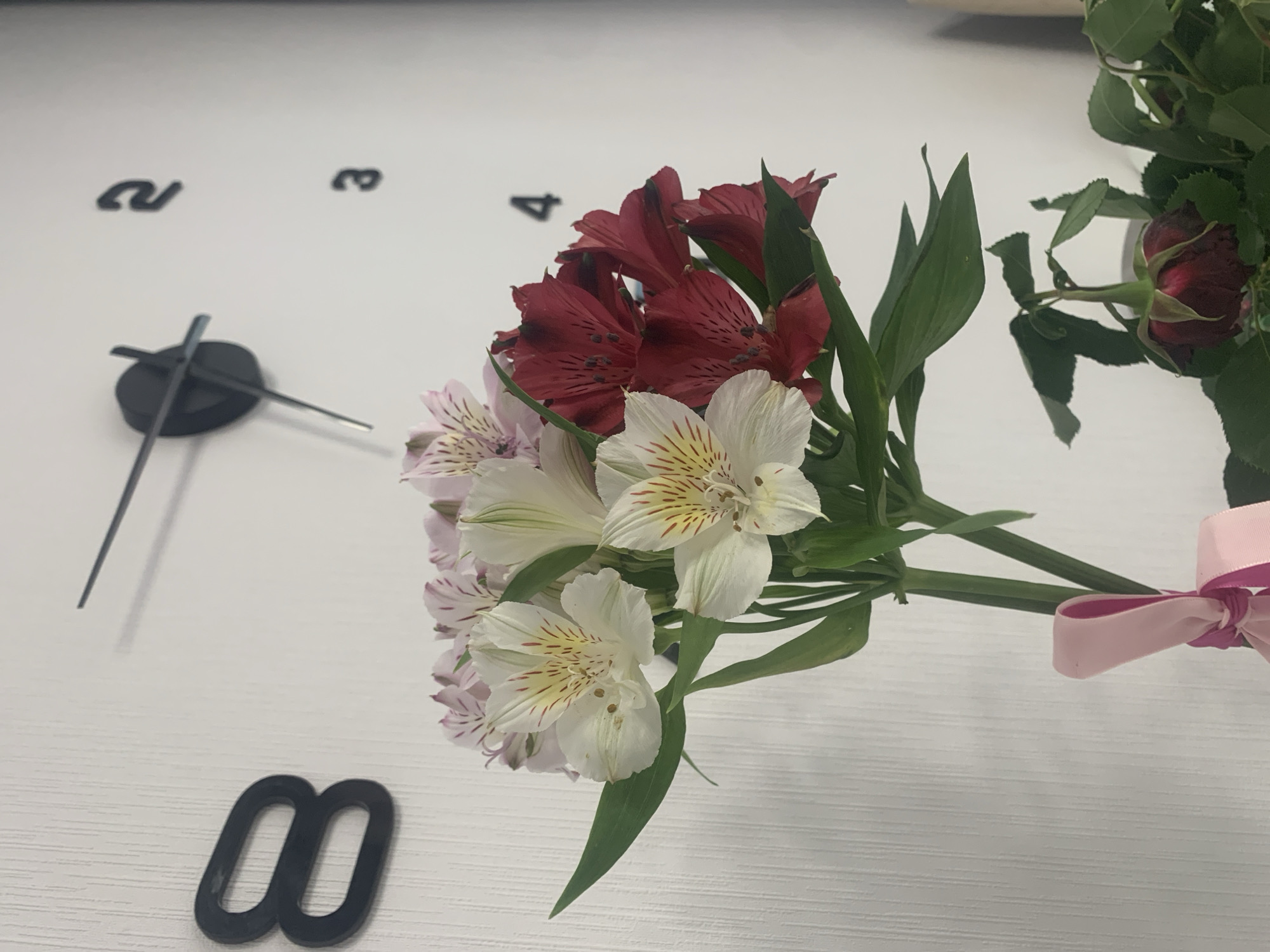A close-up shot captures a bouquet of alstroemeria flowers, featuring a mix of white and deep red blooms, arranged on a white surface. The white flowers have delicate red-brown speckles and yellow markings on their petals, while the red ones are a rich, dark hue. Some of the flowers are tightly budded, and one dark red rosebud is visible, adding variety to the bouquet. The stems are green and slender, with some leaves visible. A pink ribbon is tied around the stems, adding a decorative touch.
The white surface appears to be part of a large wall clock, indicated by black numerals, including a "2", "3", and "4", strategically placed around the bouquet. The clock's hands are also visible, positioned at approximately 11:10. The surface has a subtle, horizontal texture. The overall lighting suggests an indoor setting, likely during the day. The image does not depict any people or convey specific emotions, focusing instead on the still life arrangement of the flowers and the clock. The visible text consists solely of the clock numerals. The setting is implied to be a domestic or office environment in Kommunar, Russia, given the context.