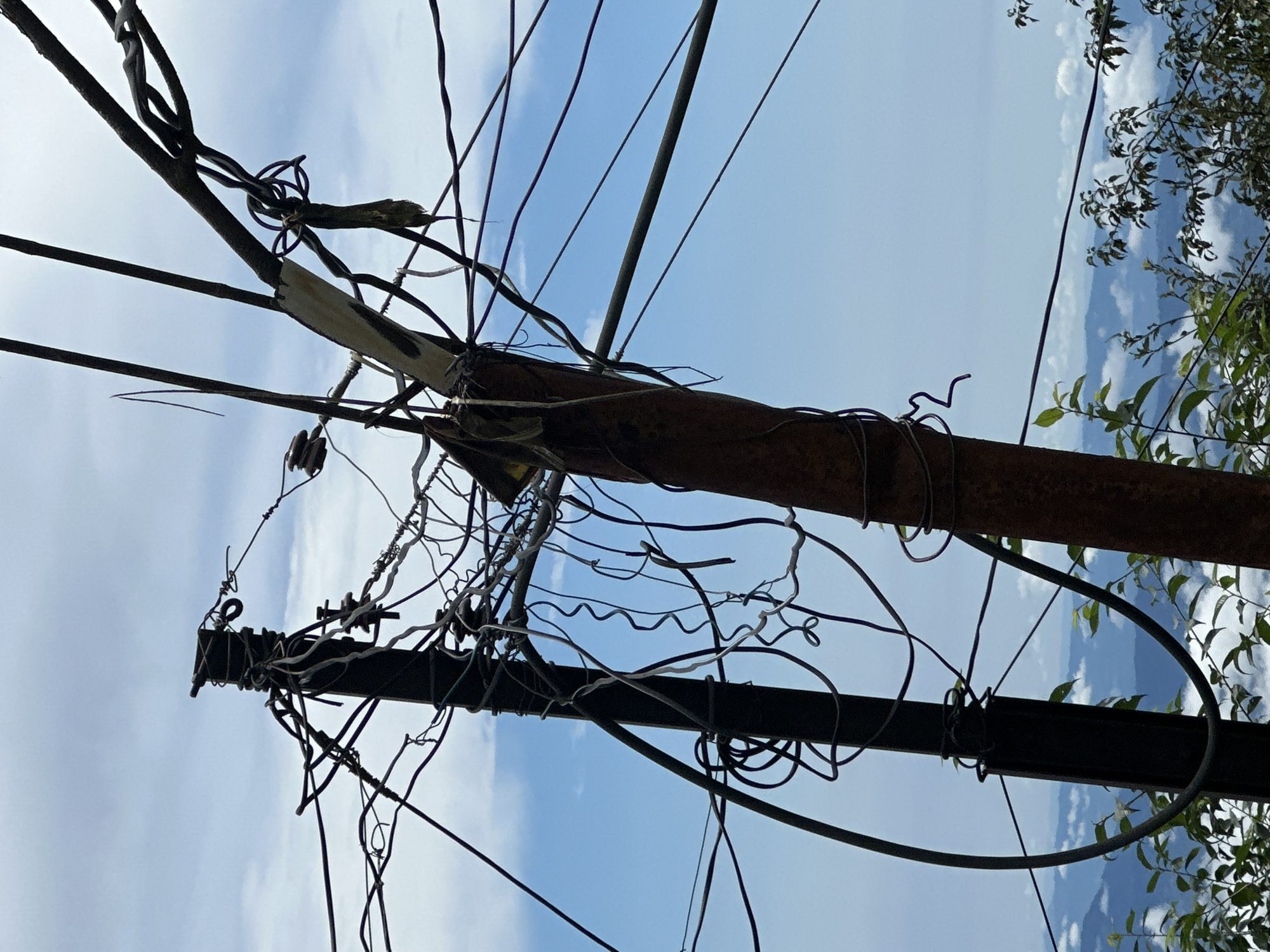A cluttered scene of utility poles and tangled wires is set against a backdrop of a cloudy sky and distant mountains, possibly in Bhagsu, India. Two prominent poles, one appearing dark and metal, the other weathered and rusty, support a dense network of wires. The wires are a mix of thick cables and thinner strands, some coiled and twisted, others stretched taut between the poles and unseen points. In the lower part of the image, green foliage and branches are visible, suggesting an outdoor, possibly mountainous, environment. The sky is a pale blue with scattered white clouds.
