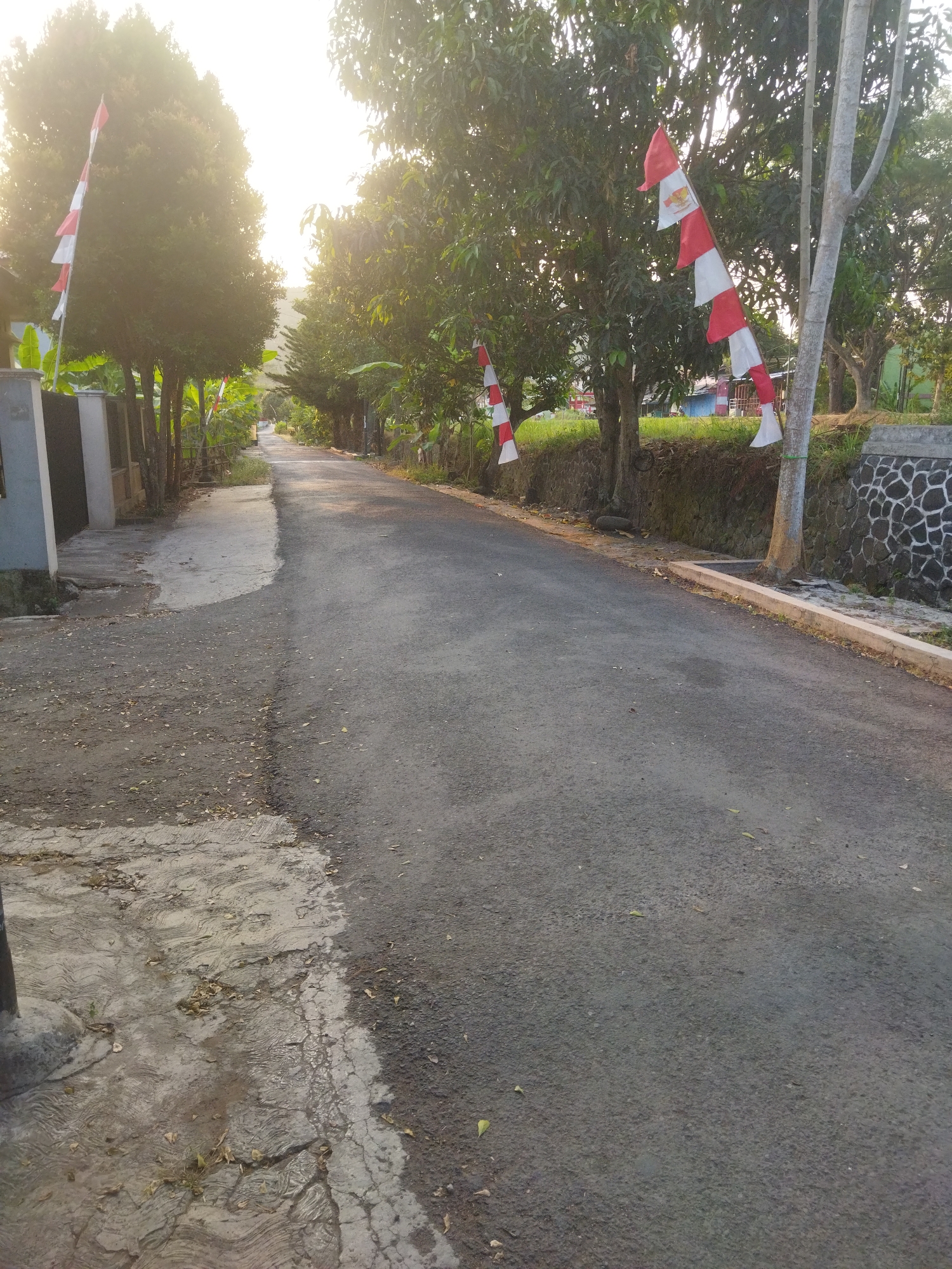 The image depicts a paved road in a rural or suburban area, likely in Banjar, Indonesia, given the presence of Indonesian flags (red and white). The road curves gently into the distance, bordered by trees and vegetation on both sides. The sun is low in the sky, casting long shadows and creating a warm, golden light.
On the left side of the road, there is a sidewalk made of concrete, with some debris and fallen leaves scattered on it. A wall or fence is visible along the left side of the road, and behind it, trees and some buildings can be seen.
On the right side of the road, there is a retaining wall constructed with stones, topped with vegetation. Several trees line the road, some with Indonesian flags attached to poles or branches. The flags are red and white, alternating stripes, suggesting a patriotic or celebratory occasion.
The overall scene is peaceful and serene, conveying a sense of rural life in Indonesia. The lighting suggests it is either early morning or late afternoon. There are no people visible in the image.