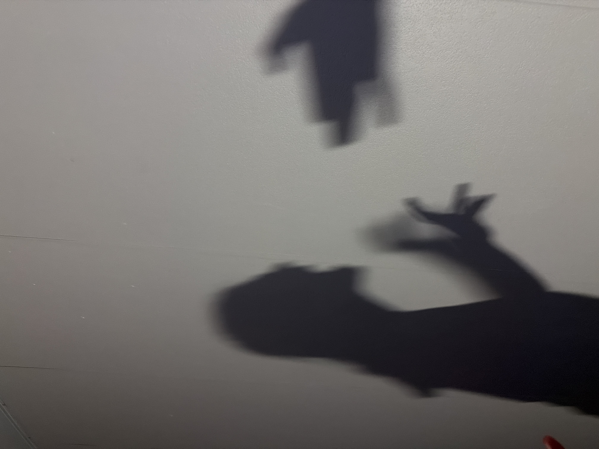 The image shows shadows on a light gray surface, likely a wall or ceiling. There are two distinct shadows: one resembling a person's head, neck, and arm with an outstretched hand, and another smaller shadow above it that appears to be an object falling or being dropped. The identity of the people involved cannot be determined. The context of the image and its location in Perm, Russia, are not discernible from the visual information provided.