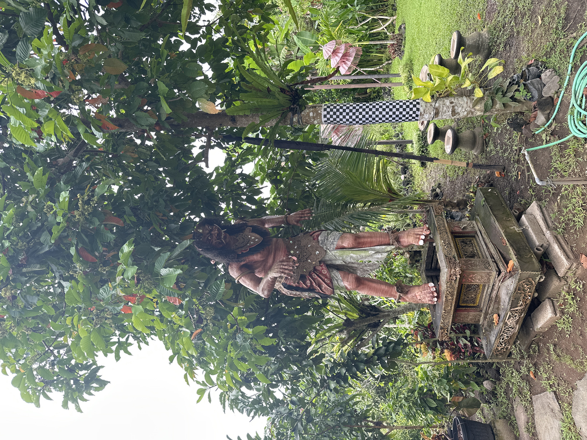 The image captures a statue of a Balinese demon, likely a Rakshasa, being lifted by people. The statue is detailed, with visible facial features and ornamentation on its garb. It is positioned on top of what seems to be a palanquin or a carriage. The location is Gianyar, Indonesia, given the cultural context of the Balinese demon statue. The scene is set amidst lush tropical vegetation. In the background, a traditional Balinese black and white checkered cloth (Poleng) is draped on a tree. Several potted plants are also visible. The lighting suggests it is daytime, and the environment looks serene and natural.