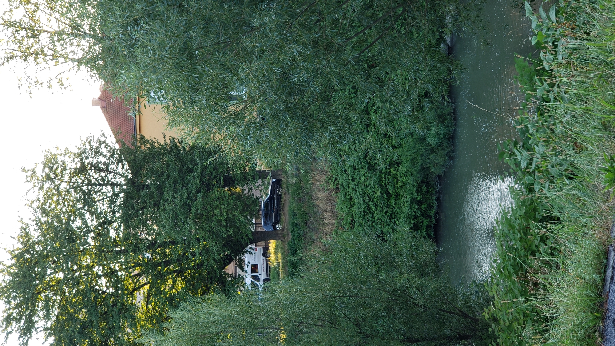 This is a vertical, medium-shot photograph taken from a slightly elevated vantage point overlooking a body of water, likely a river or stream, in the city of Prešov, Slovakia. The foreground features a dense growth of green grasses and reeds. The middle ground is dominated by a tranquil, dark green body of water reflecting the bright sky. Along the far bank of the water, there is a steep incline covered in thick, lush green bushes and trees.
Further up the incline, a dark-colored SUV is parked under the shade of a large, leafy tree. The SUV appears to have writing or decals on its side. To the left of the SUV, a white delivery van is also parked. Behind the trees and the vehicles, a portion of a building is visible, characterized by a yellow facade and a reddish-brown tiled roof. The sky above is bright and appears to be a clear or mostly clear day, with the sun casting bright highlights on the water and through the leaves of the trees, creating a dappled effect. The overall atmosphere is serene and natural, with elements of urban infrastructure subtly integrated into the landscape.