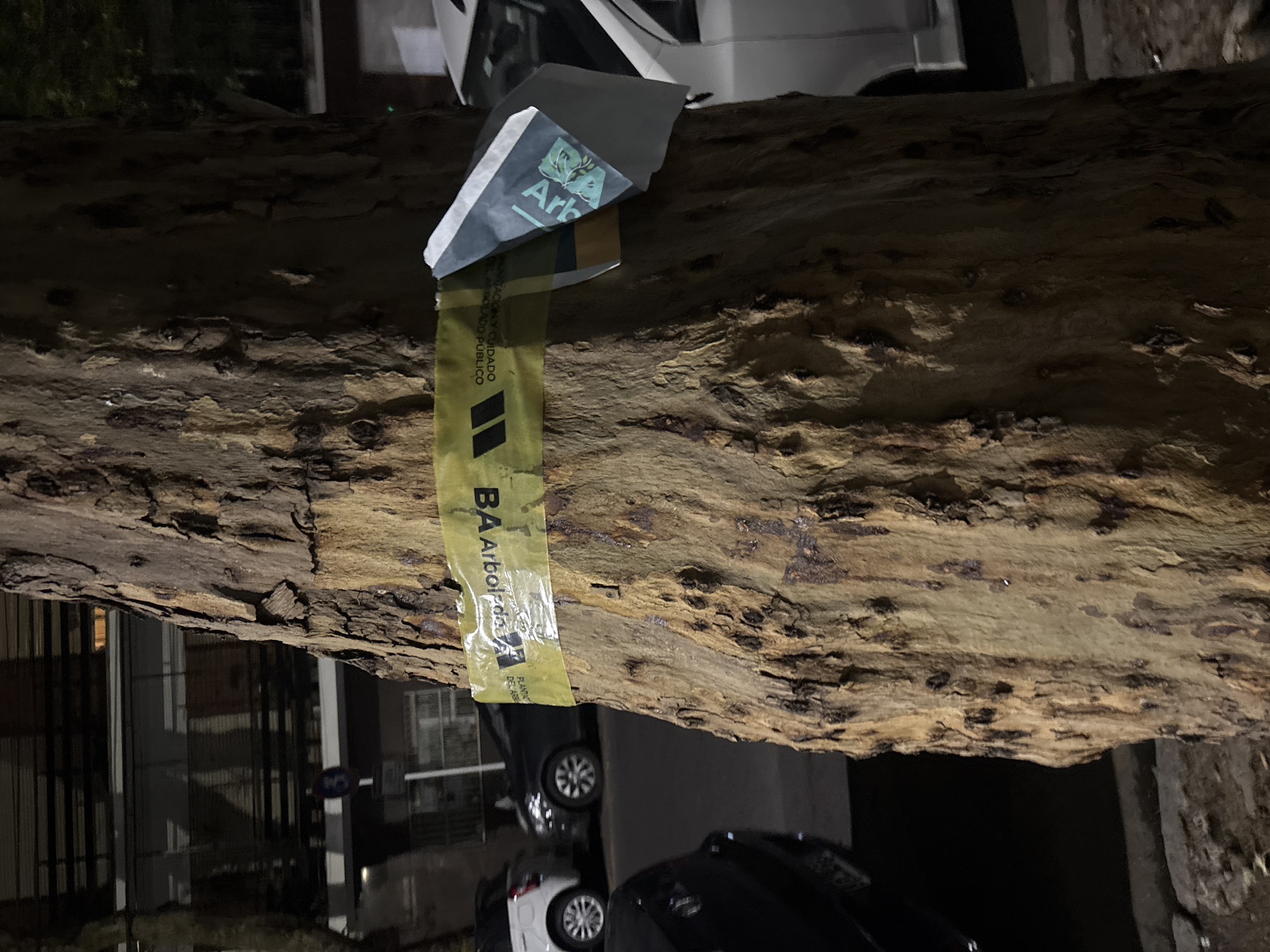 The image shows a fallen tree branch with a "BA Arbolado" (Buenos Aires Arboriculture) tag attached. The tag indicates that the tree is part of the city's public tree program. The branch appears to be large and recently fallen. In the background, there are cars and buildings, suggesting an urban environment within the city of Buenos Aires. The photo was taken at night, as indicated by the darkness of the scene.