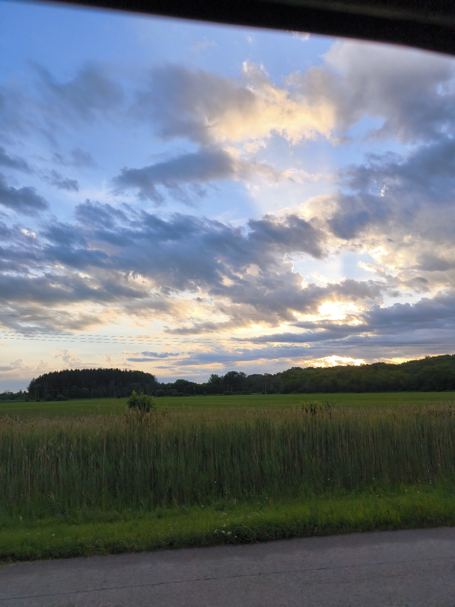 The image depicts a rural landscape in Rigaud, Canada, likely taken during the late afternoon or early evening. The sky is filled with dramatic clouds, some illuminated by the setting sun with golden and yellow hues, while others are a deep grey. A line of trees forms a dark silhouette against the horizon, bordering a vast, green field. In the foreground, tall, green grass or reeds grow densely, and a portion of a paved road is visible at the bottom of the frame. The scene is tranquil and devoid of any human presence or activity.