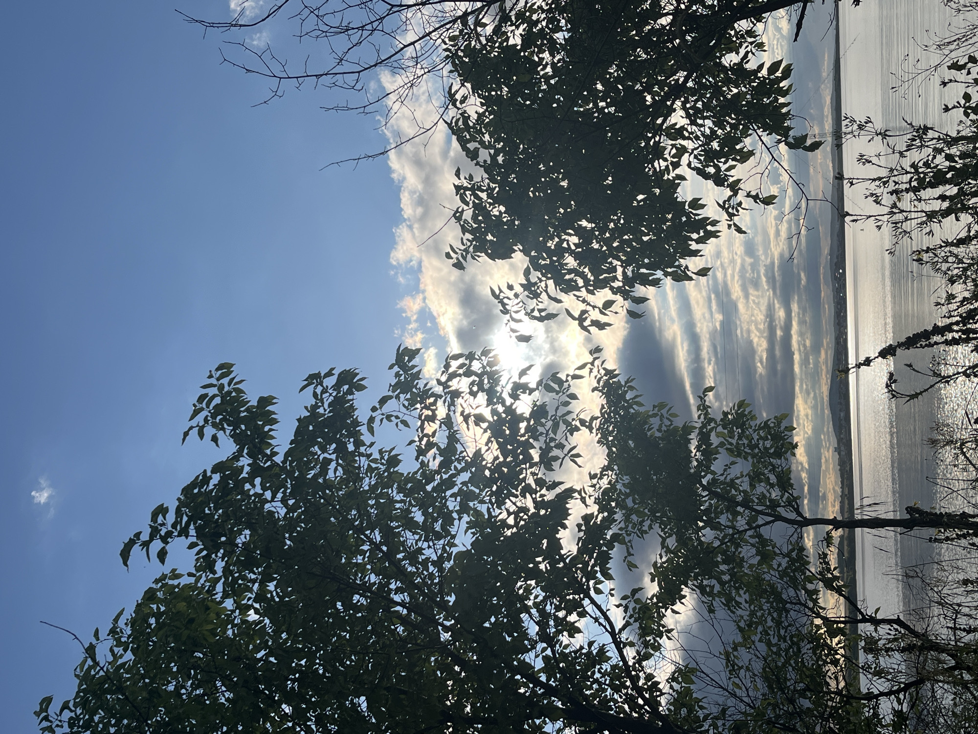 The image shows a view towards a body of water, likely a lake or the sea, framed by trees. The sky is visible through the branches, with a mix of blue sky and clouds. The sun is shining through the clouds, creating a bright glare. The trees are silhouetted against the light, obscuring details of the landscape. It is daytime.
Given the prompt about Burgas, Bulgaria, the body of water might be part of the Burgas Lakes complex or the Black Sea. Without more specific details, it's impossible to pinpoint the exact location. There are no people visible in the frame.