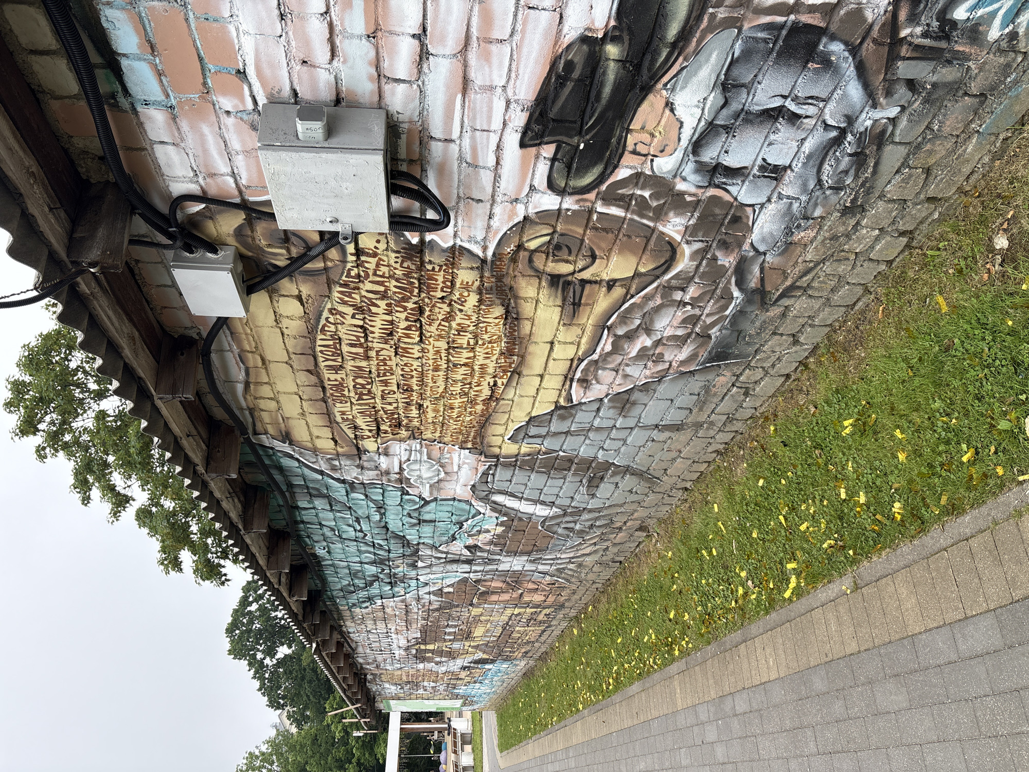 The image depicts a long, brick wall covered in graffiti, located in the city of Pionersky, Russia. The graffiti art features various figures and text, with a prominent section of yellow-hued text on a textured brown background. A corrugated metal roof supported by wooden beams extends over the top of the wall. Electrical conduits and two grey electrical boxes are mounted on the wall, one above the other.
To the left of the wall, a paved walkway made of grey and beige rectangular stones runs alongside a strip of green grass. The grass is sparsely dotted with yellow fallen leaves or petals. In the background, beyond the walkway and grass, a white structure with a canopy and benches can be seen, suggesting a public outdoor area. Trees with green foliage are visible behind the wall and the structure. The sky is overcast, indicating a cloudy day. The scene is static and appears to be an exterior view of a building or structure in an urban or park-like setting.