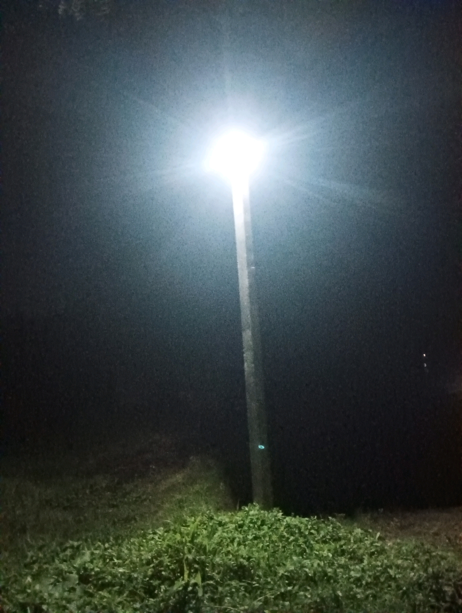 The image depicts a street light illuminating a dark, foggy environment. The light source is at the top of a tall, slender pole, casting a bright glow that creates a halo effect and illuminates the surrounding mist. In the foreground, there is a patch of dense green vegetation, appearing as low-lying bushes or ground cover. The overall scene suggests an outdoor location at night, possibly in a rural or semi-urban area where fog is present. The location within the city of Dakhin Parsa, India, is not explicitly evident from the image itself, but this description pertains to a street light in that area.