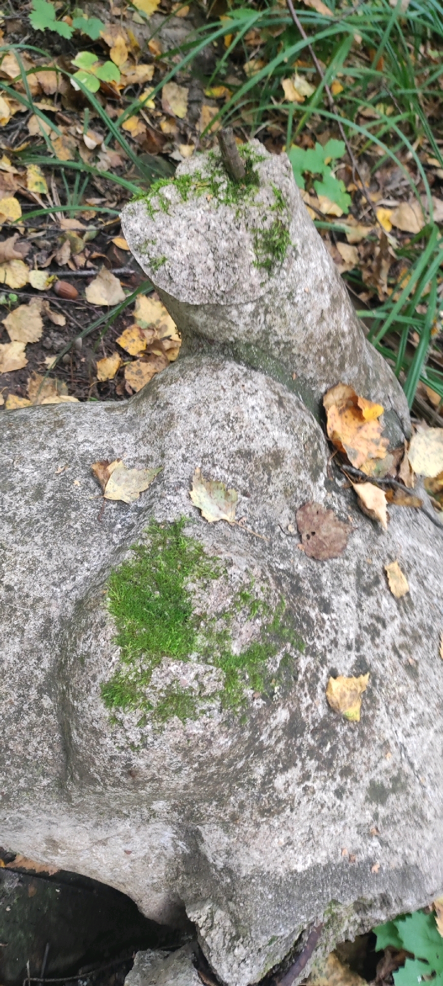 The image shows a weathered, possibly stone, sculpture partially covered in moss, lying on the ground amidst fallen leaves and grass. The sculpture appears to be abstract or a fragment of a larger piece, with rounded forms. The environment suggests an outdoor setting, likely a park or a natural area, with autumn foliage. There are no people or animals visible in the image. The lighting is natural and diffused, indicative of an overcast day. There is no information in the image to determine its specific location within Cheboksary, Russia.