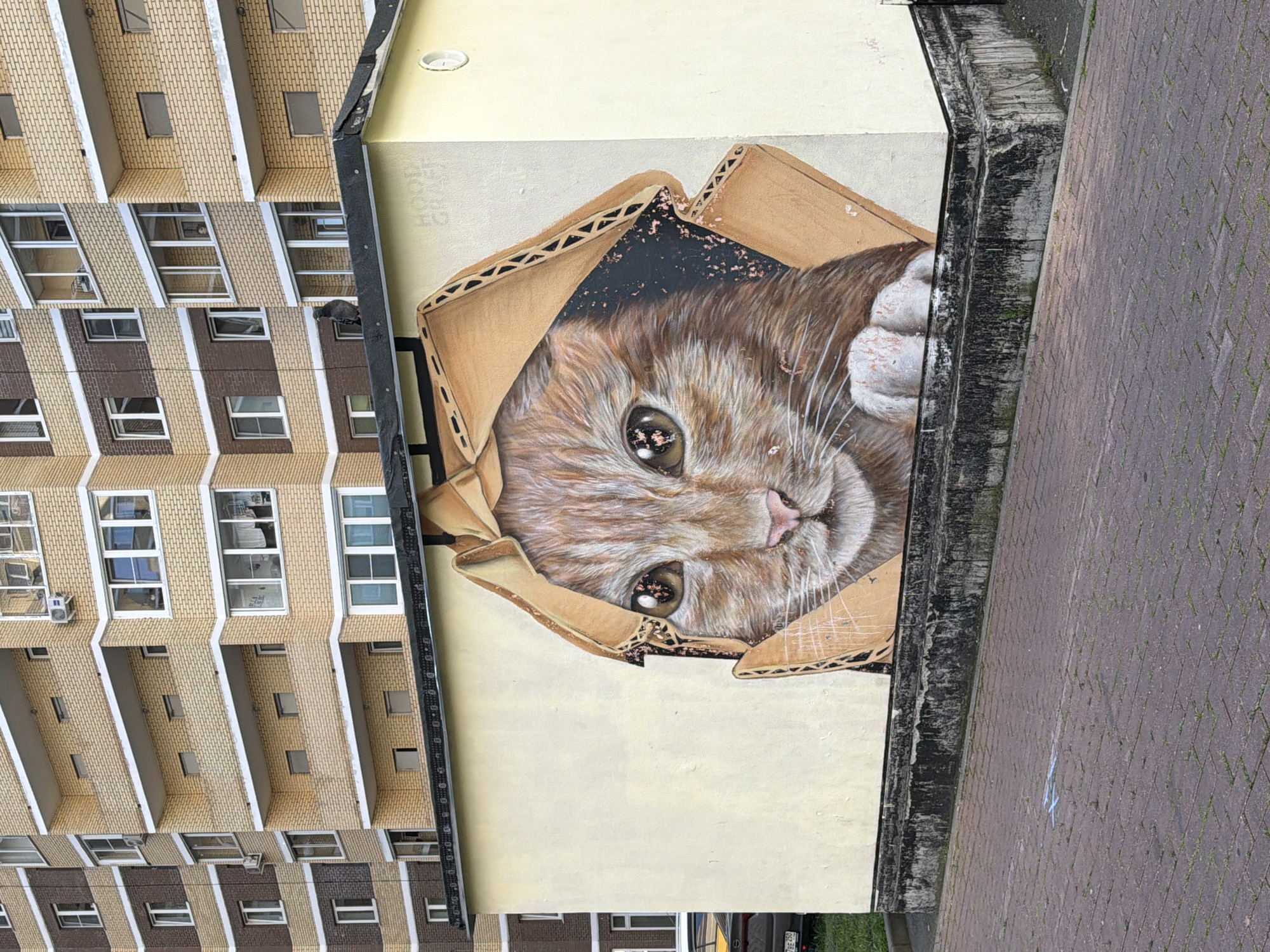 In Pushkino, Russia, a colorful mural of a cat peeking through a cardboard box adorns the side of a building. The cat, rendered in shades of orange and brown, has large, expressive eyes and white paws. The building itself is a light yellow, contrasting with the brick apartment buildings in the background. The ground in front of the mural is paved with red bricks, with a bit of green grass peeking through. The scene appears to be a quiet street corner, bathed in natural light, suggesting it was taken during the daytime.