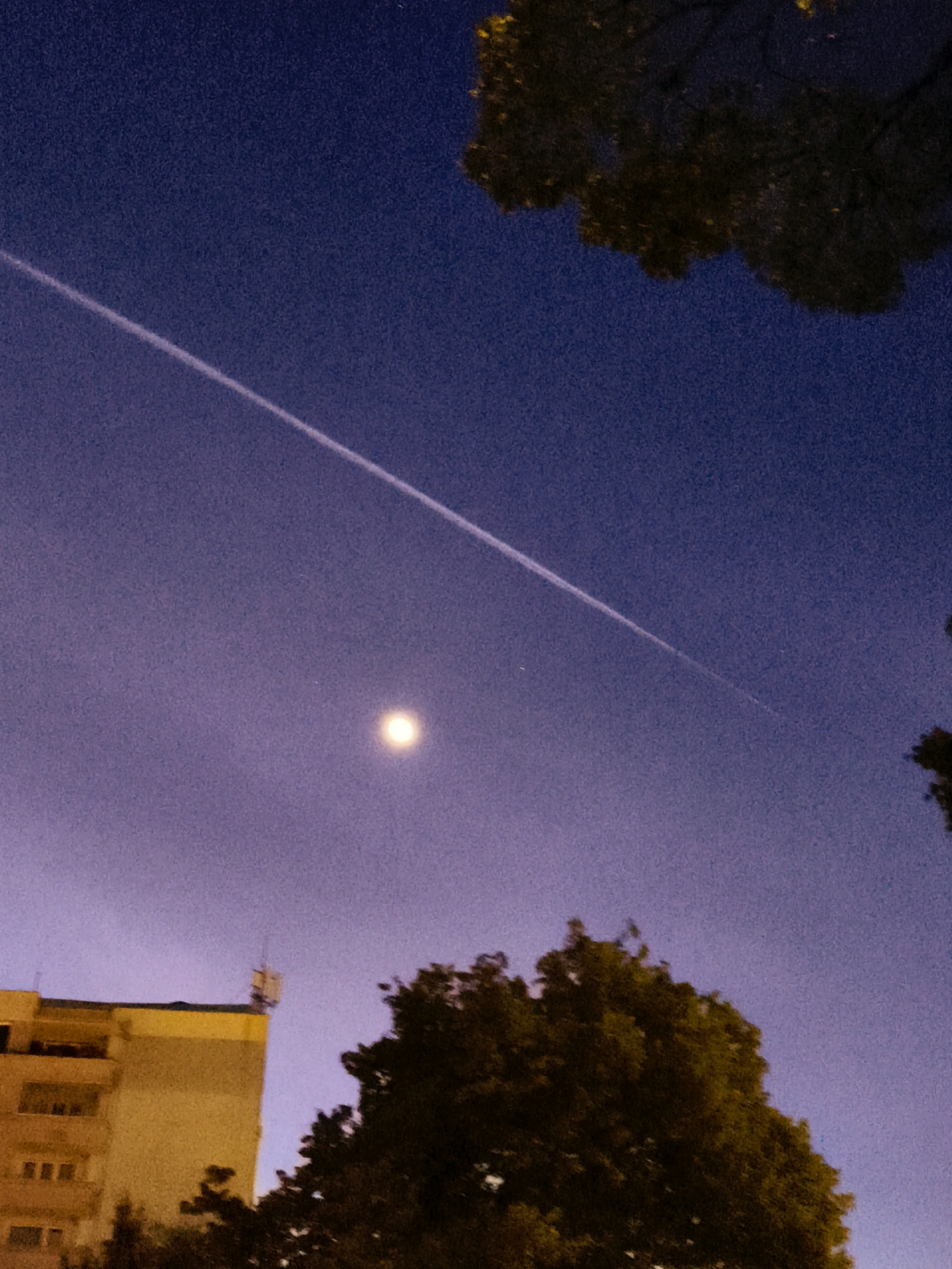 The image captures a twilight sky with a gradient from deep blue at the top to a lighter purple hue lower down. A prominent white contrail stretches diagonally across the sky from the upper left to the lower right. A bright, luminous circle, likely the moon, is visible in the middle of the frame. In the foreground, the top portion of a multi-story building, rendered in yellow and cream colors, is partially visible on the left side, showing several windows. A large tree with dark foliage occupies the bottom right portion of the image. The scene appears to be an urban environment, possibly Gdańsk, Poland, given the provided context of the location.