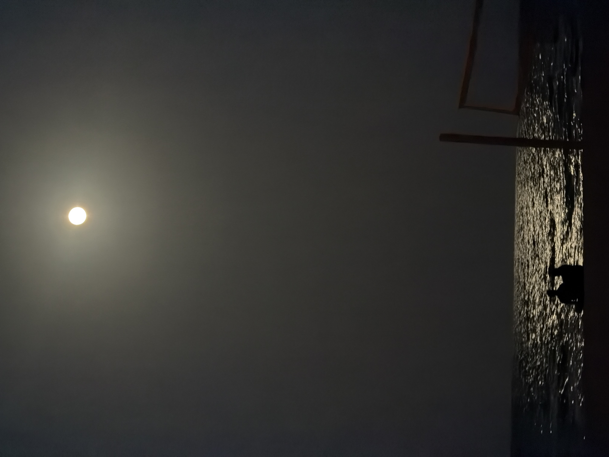 A nighttime scene captures a full moon illuminating the sky and reflecting on the ocean's surface. In the foreground, two silhouetted figures sit on the beach, facing the water. To the right, a volleyball net stands on poles, partially visible against the dark sky. The image appears to be taken from Hollywood Beach, Florida, USA.