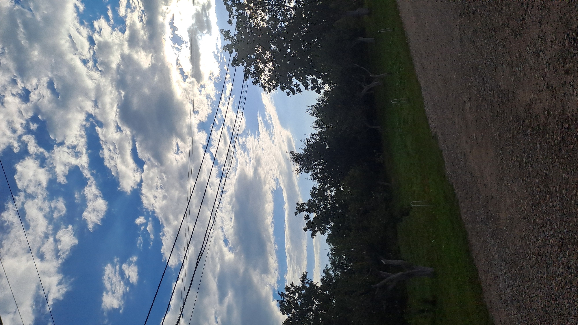 The image depicts an outdoor scene with a focus on the sky and a treeline. The sky is a vibrant blue, dotted with fluffy white clouds that are illuminated by sunlight, suggesting it is daytime, possibly late afternoon given the angle of the light. Several power lines are strung across the upper portion of the frame. Below the sky, a row of trees with dark green foliage forms a dense treeline. Some of these trees have pale, exposed trunks, possibly indicating they are fruit trees. The ground in front of the treeline is covered in green grass. In the foreground, a gravel path runs diagonally across the image, leading the viewer's eye into the scene. The overall impression is one of a rural or semi-rural setting. Without additional context or identifying features, it is not possible to determine the specific location within the city of Kolomyia, Ukraine.