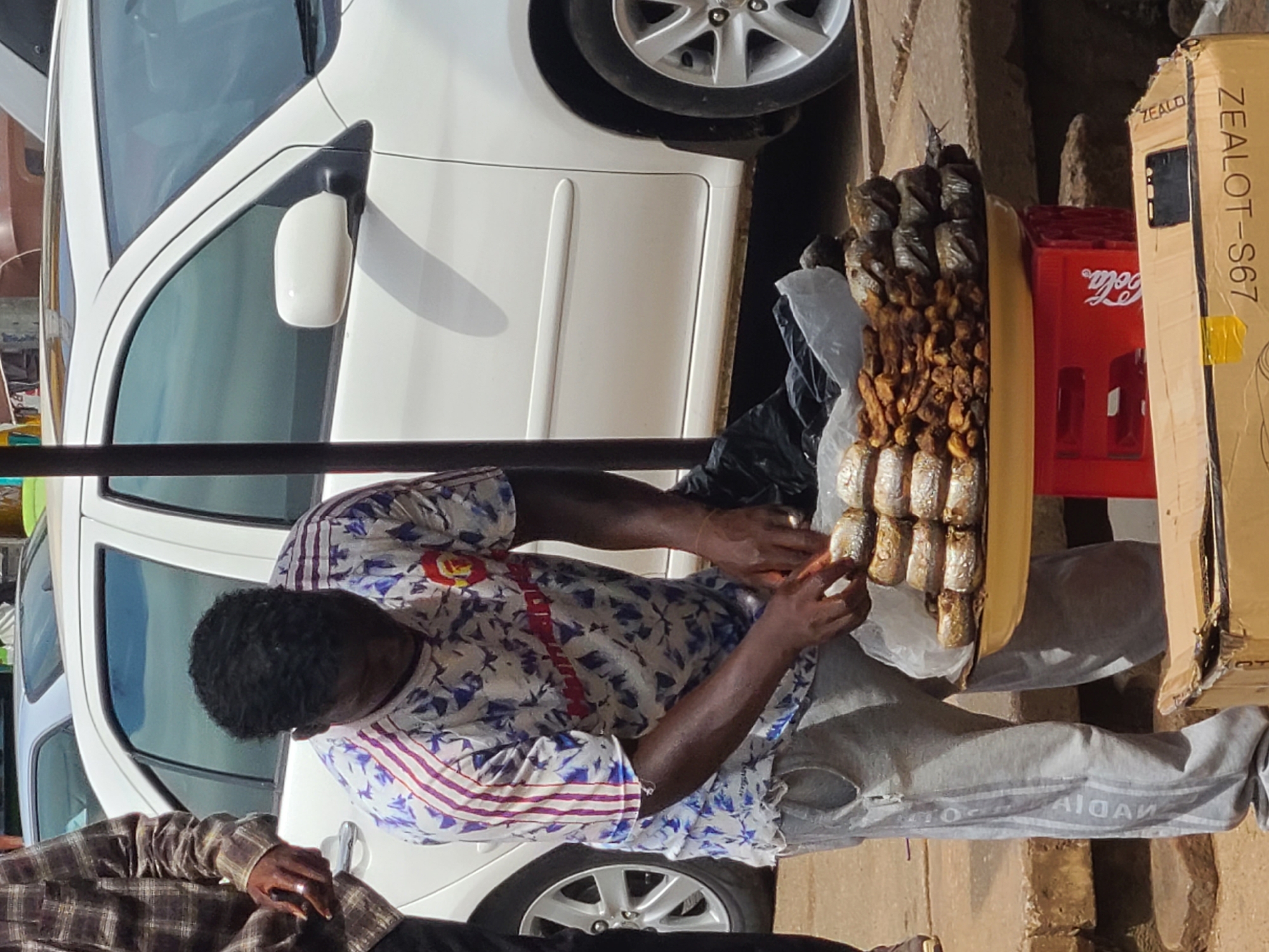 In the city of Jos, Nigeria, a Black man, dressed in a grey Adidas tracksuit and a patterned t-shirt with red and blue stripes on the sleeves, is seen preparing food on a street. He is hunched over a tray filled with fried fish, his hands actively engaged in arranging the fish. Beside him, a black plastic bag and a clear plastic bag containing more food items are visible. The tray is placed on a red Coca-Cola crate, which is itself positioned on a stack of concrete blocks. In the background, a white car with tinted windows is parked, partially obscuring a portion of the street. The scene appears to be an outdoor market or roadside stall, typical of urban street vending in Jos.