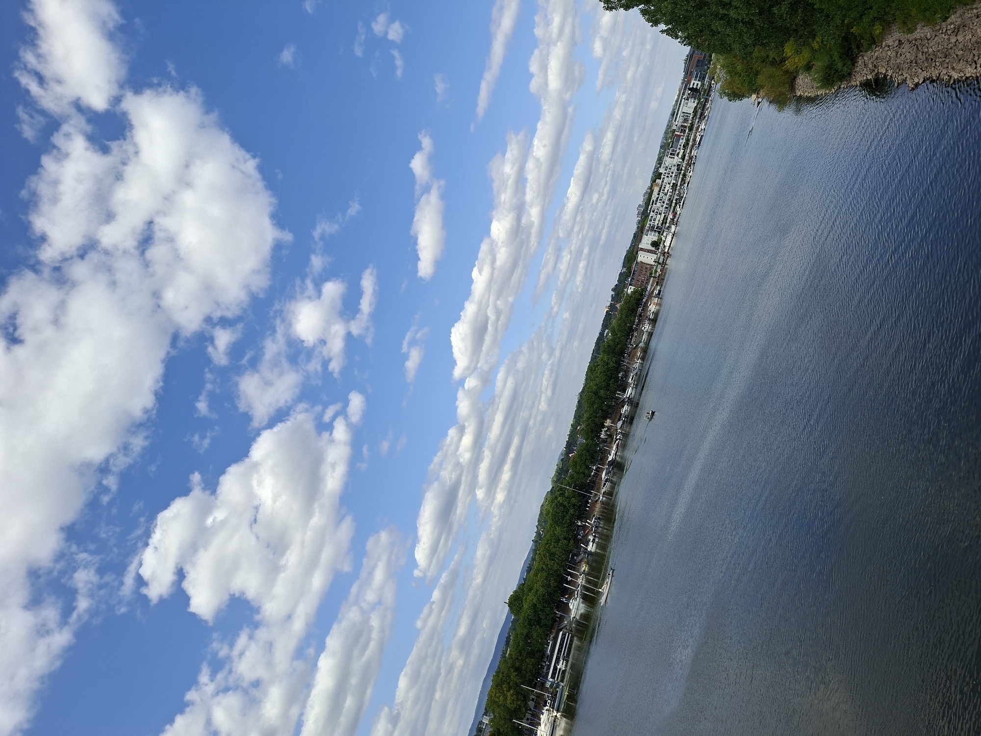 The image depicts a wide riverfront scene in Wiesbaden, Germany. The foreground is dominated by the dark blue, rippled water of the river, with a rocky embankment and lush green trees on the right side. Across the river, a long line of moored boats and yachts is visible, with a treelined promenade and modern white buildings situated behind them. In the distance, more buildings and hills form the urban and natural landscape. The sky is a vibrant blue, adorned with scattered white cumulus clouds. The overall impression is that of a sunny day with a pleasant, bustling waterfront.