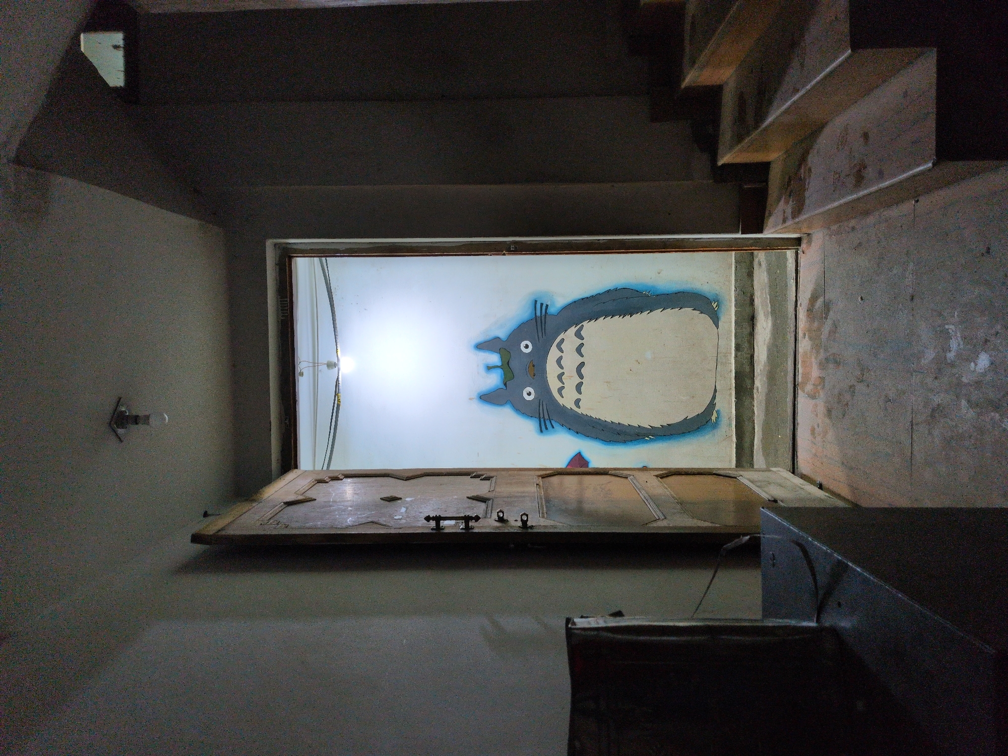 This image depicts an interior hallway with a partially open wooden door. On the wall beyond the doorway, a mural of the character Totoro is visible. To the right of the doorway, a set of wooden stairs ascends. The floor is concrete and appears worn. A dark, rectangular object is positioned to the left of the doorway, and a light fixture is present on the ceiling. The scene is dimly lit, suggesting it may be evening or an interior space with limited natural light. The location is identified as Leh, India.