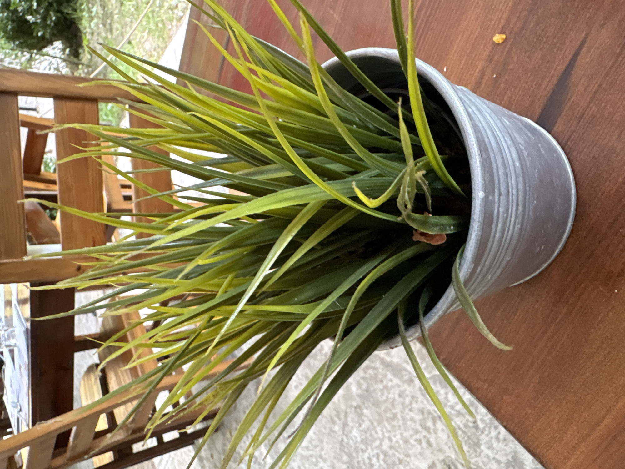 The image shows a close-up of a potted plant with long, green and yellow blades, likely artificial grass, in a galvanized metal bucket. The pot sits on a wooden table. In the background, out of focus, are wooden chairs and another table, suggesting an outdoor seating area, possibly at a restaurant or cafe. The ground appears to be concrete and gravel. The scene is well-lit, with shadows cast by the pot and plant. The image was taken in Parvenets, Bulgaria.