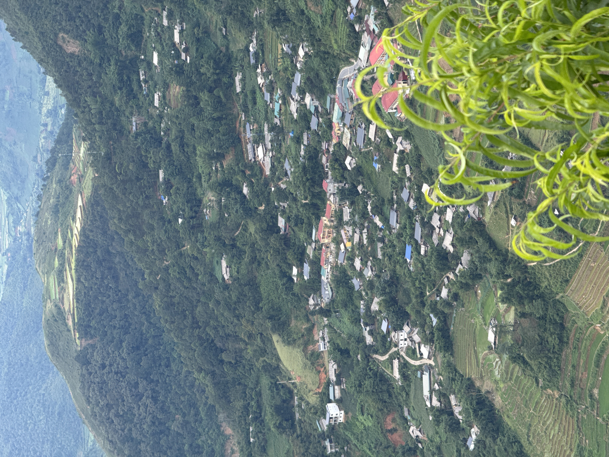 The image displays a high-angle panoramic view of a densely vegetated mountainous valley, specifically identified as Tu Le, Vietnam. The foreground is partially obscured by bright green, out-of-focus foliage belonging to an unidentified plant, indicating the vantage point is from an elevated position.
The mid-ground and background reveal a sprawling village settlement integrated into the undulating terrain. Numerous houses with various colored roofs (predominantly grey, red, blue, and green) are scattered across the green hillsides, some clustered more densely than others. A central section of the village features larger, more prominent buildings with yellow walls and bright red roofs, suggesting a community center or commercial area. Winding, narrow roads and paths connect different parts of the settlement, visible as light-colored lines against the green landscape.
Agricultural terraced fields, likely rice paddies, are carved into the slopes at various elevations, particularly in the lower-midground and further up the distant hillsides. Some terraces appear cultivated and green, while others might be fallow or newly prepared earth. Patches of reddish-brown earth are visible on some slopes, indicating areas of erosion or recent land disturbance.
The surrounding mountains are covered in thick, dark green forests. In the distant background, multiple layers of mountains fade into a light blue or hazy grey, suggesting atmospheric depth. A tall, slender communication or power tower is visible on a hillside in the upper-left quadrant. No people or active interactions are discernible within the frame. The overall impression is a remote, rural settlement harmoniously integrated into a lush, mountainous environment.